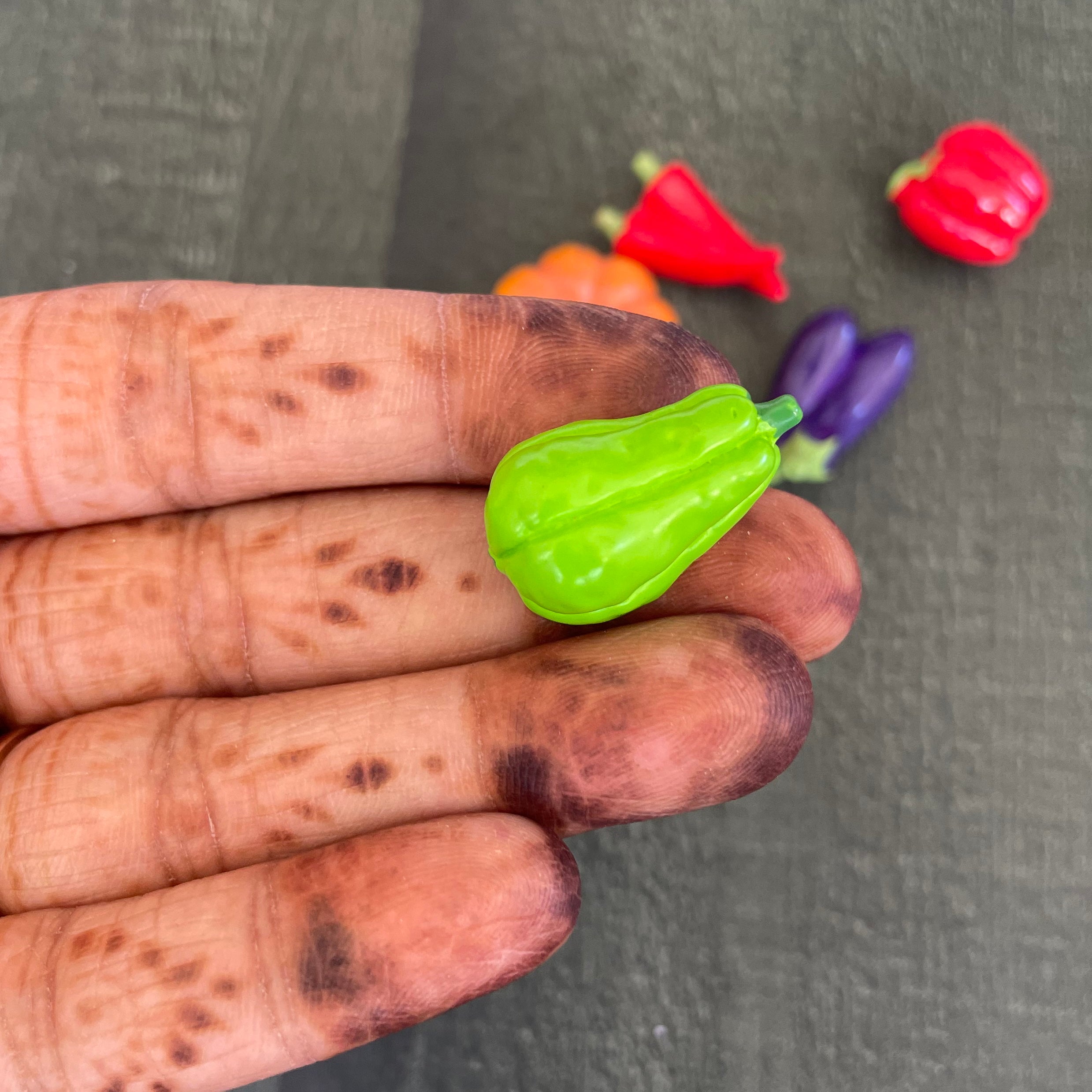 Chayote Miniature 248 image 1
