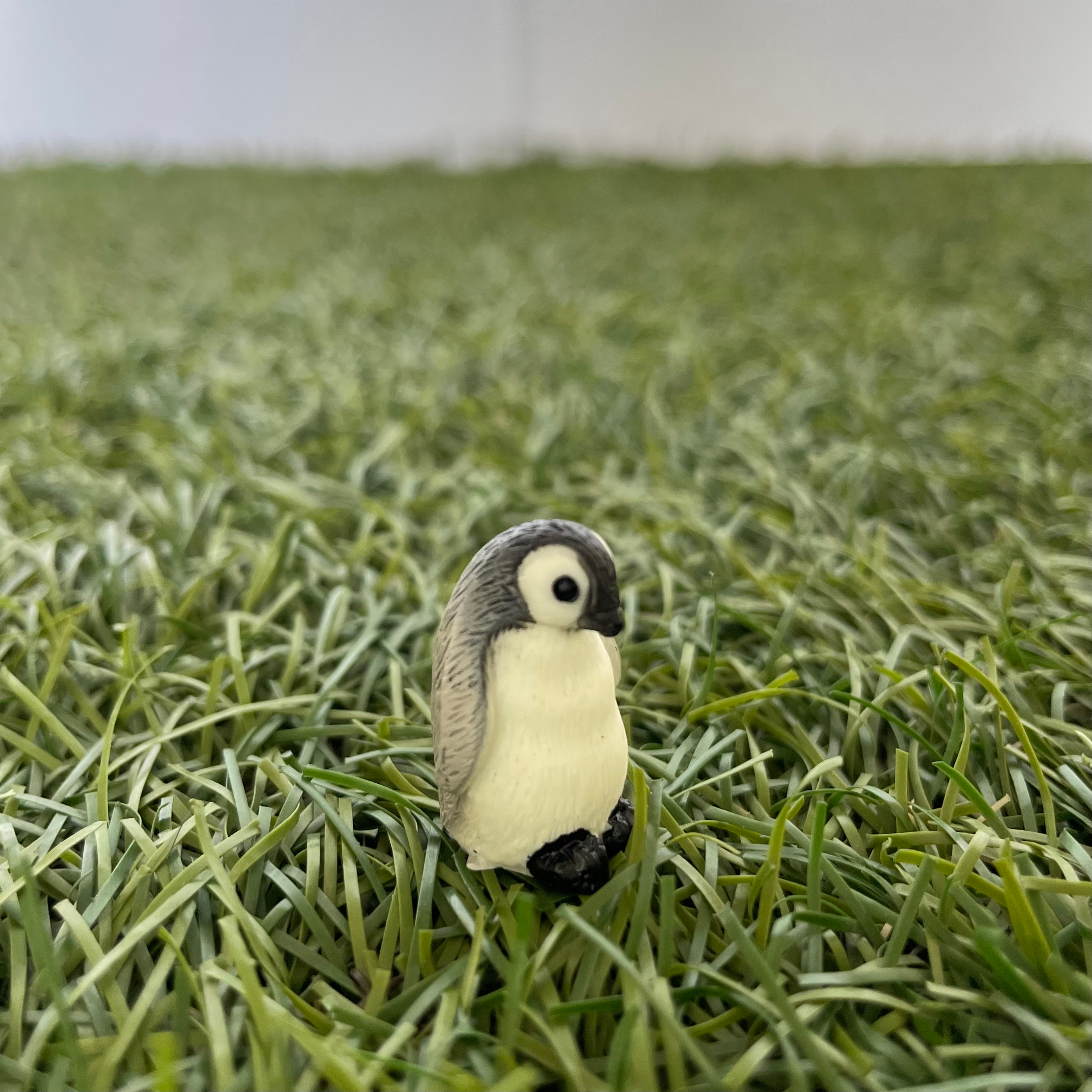 Little Penguin A Miniature 219 image 0