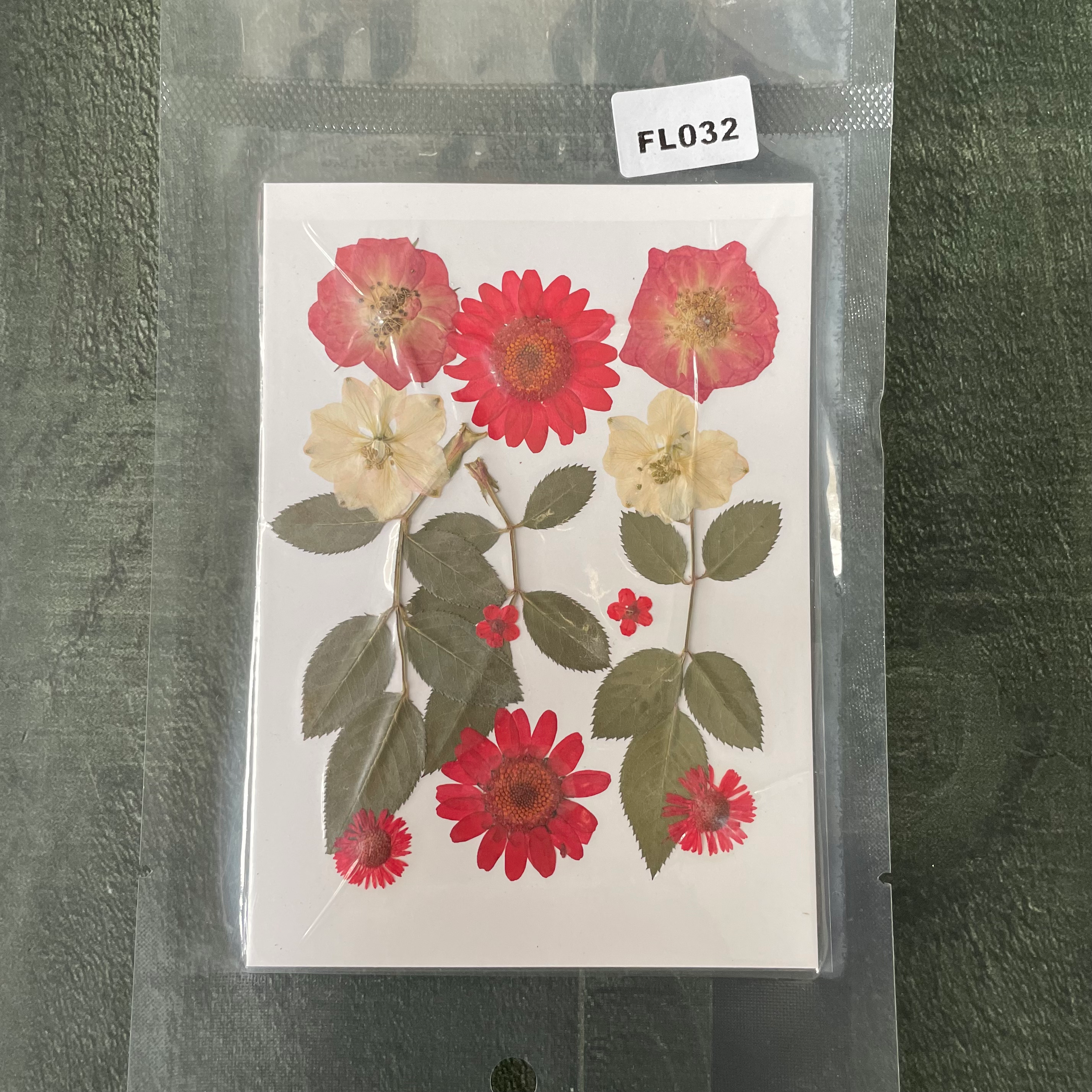 13 in 1 Pressed Dry Flowers 15 image 0
