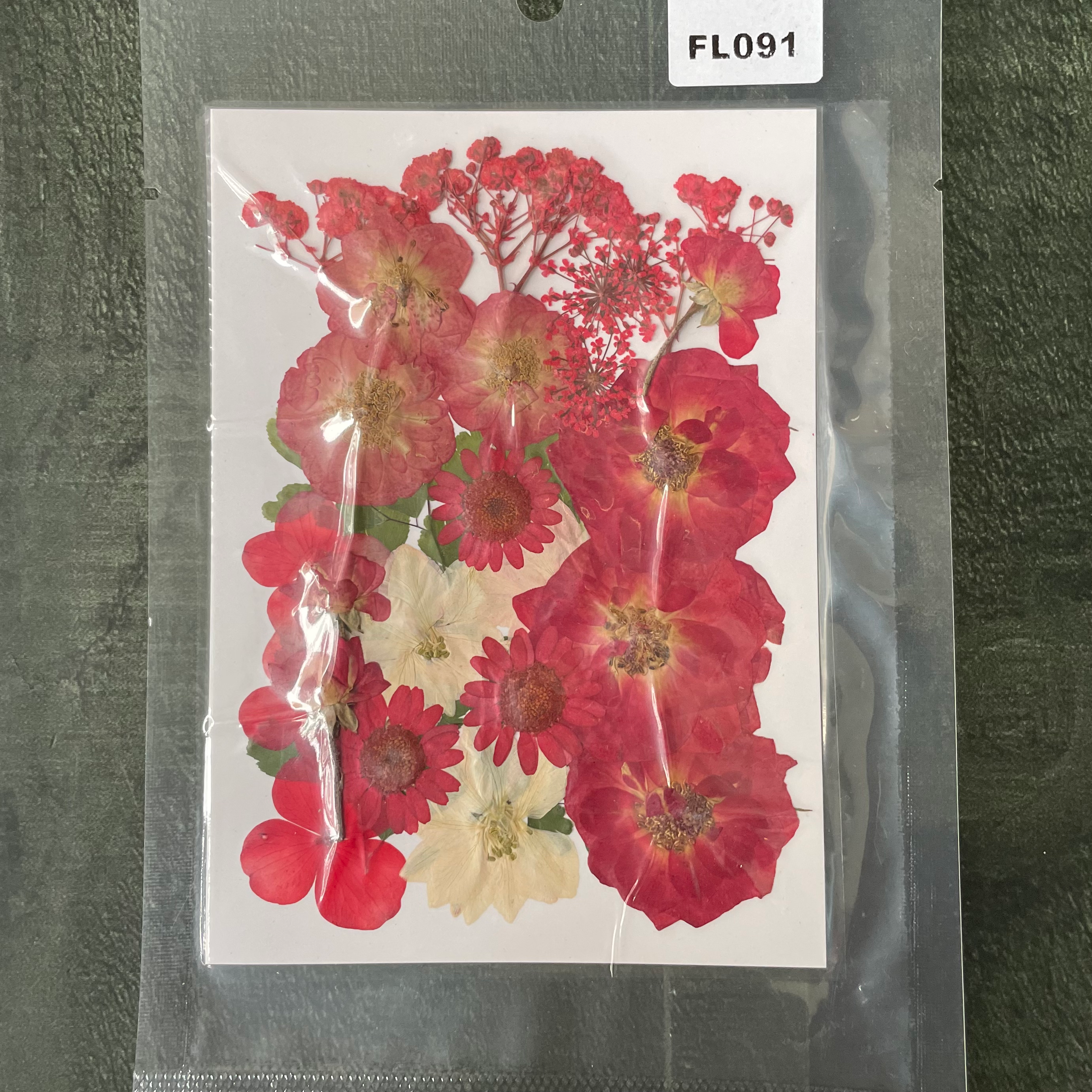 29 in 1 Pressed Dry Flowers 18 image 0