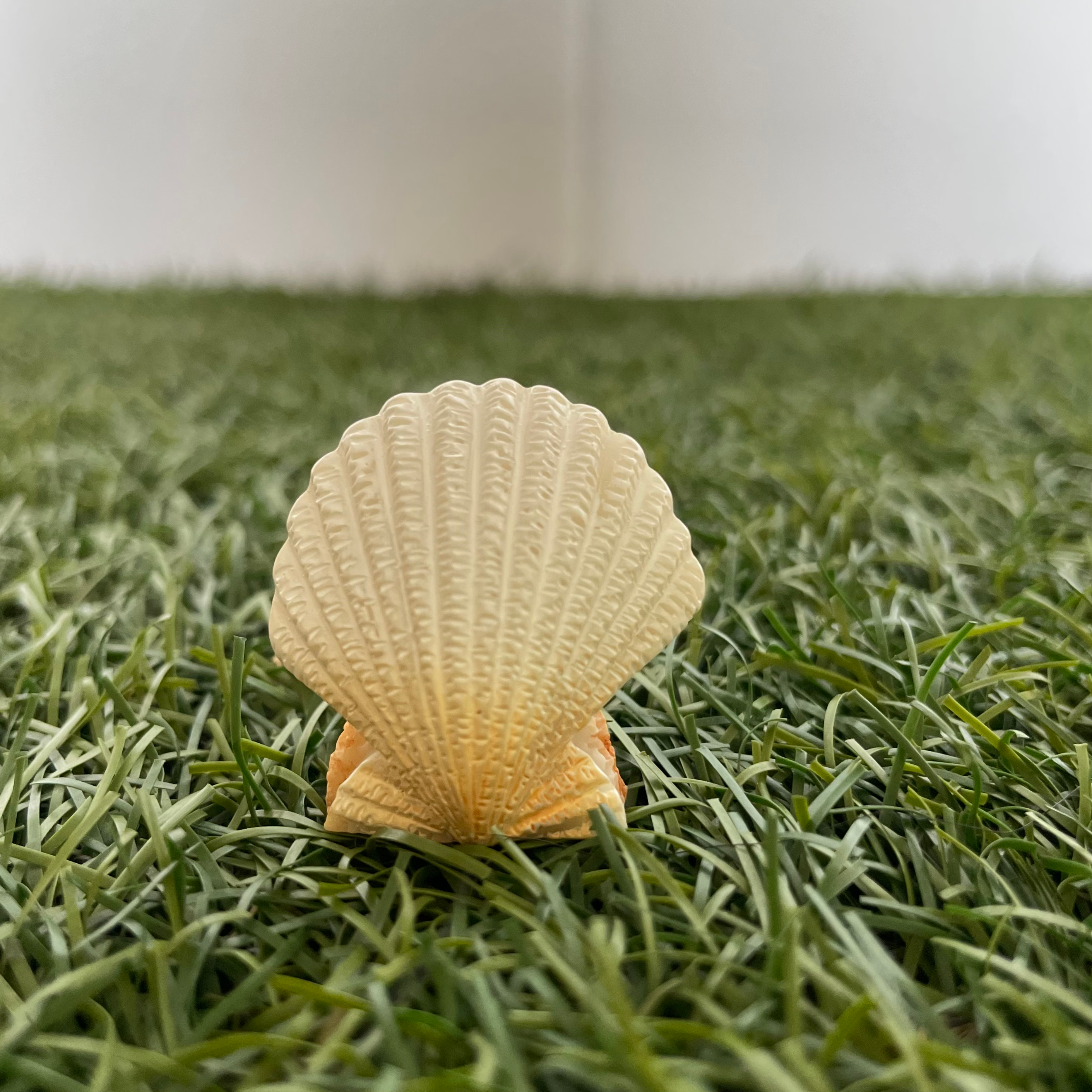 Sea Shell Miniature 110 image 0