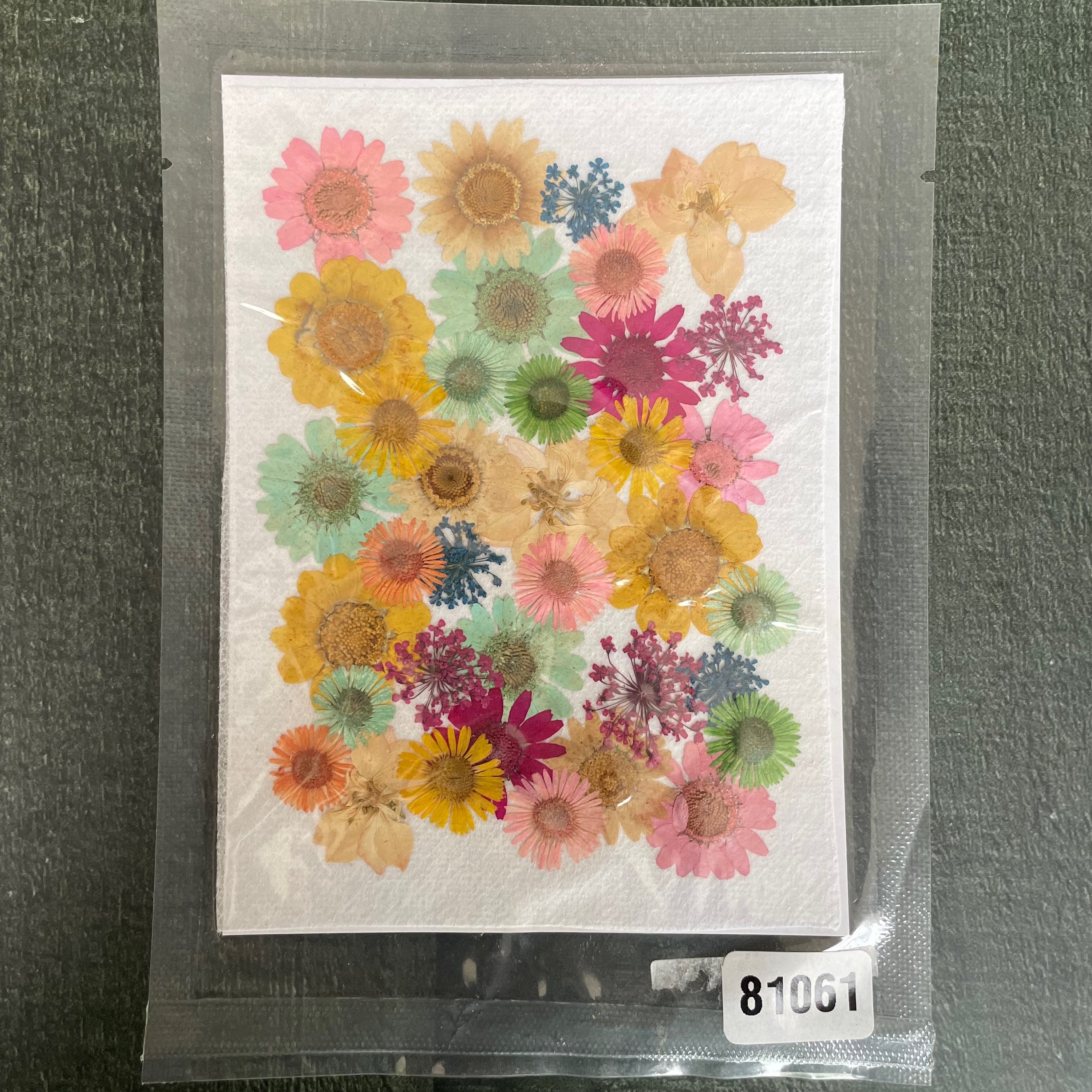 34 in 1 dry pressed flower 7 image 0