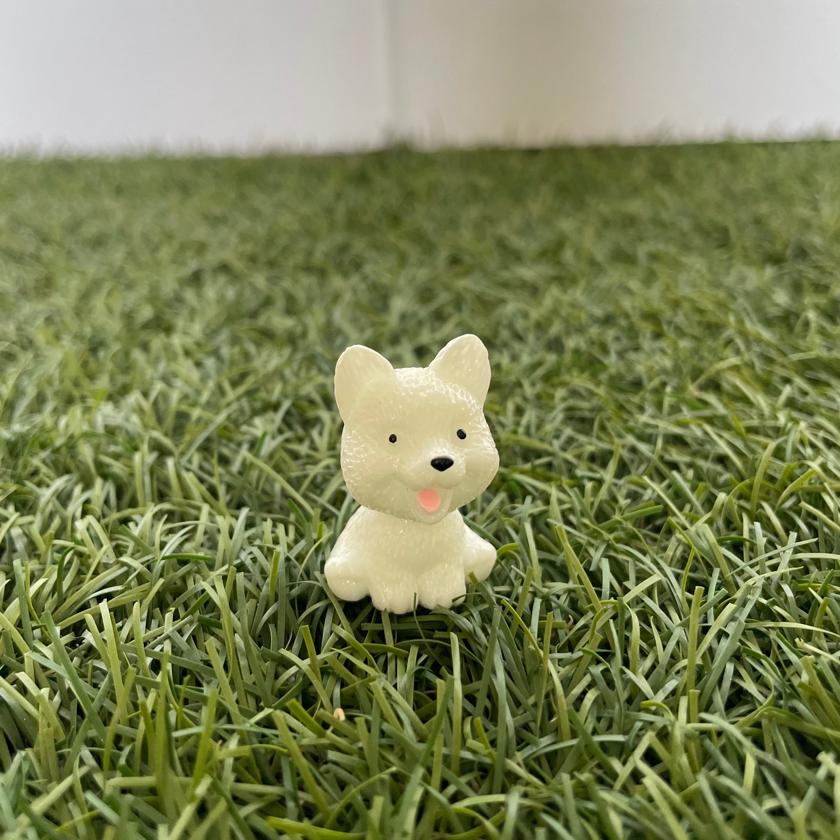 Dog C Miniature 184 image 0