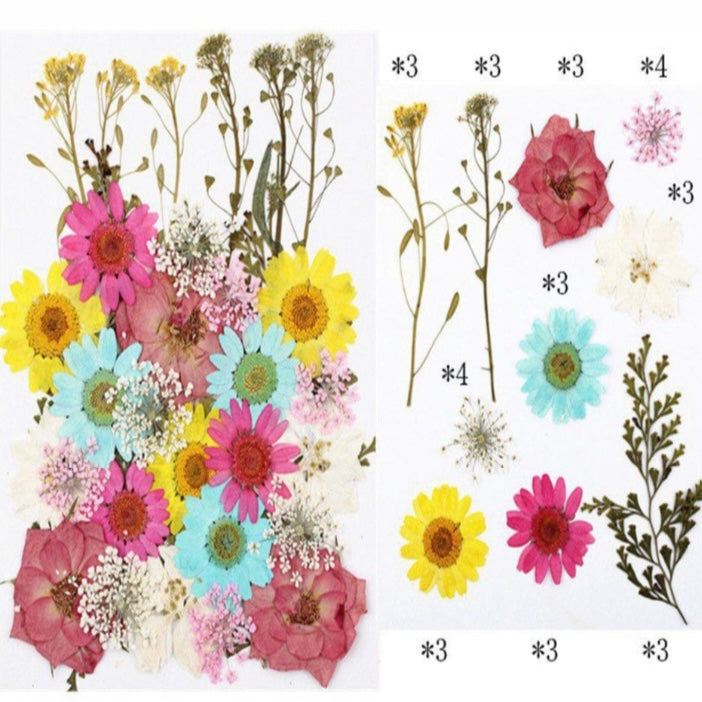 32 in 1 Pressed Dry Flowers 19 image 1
