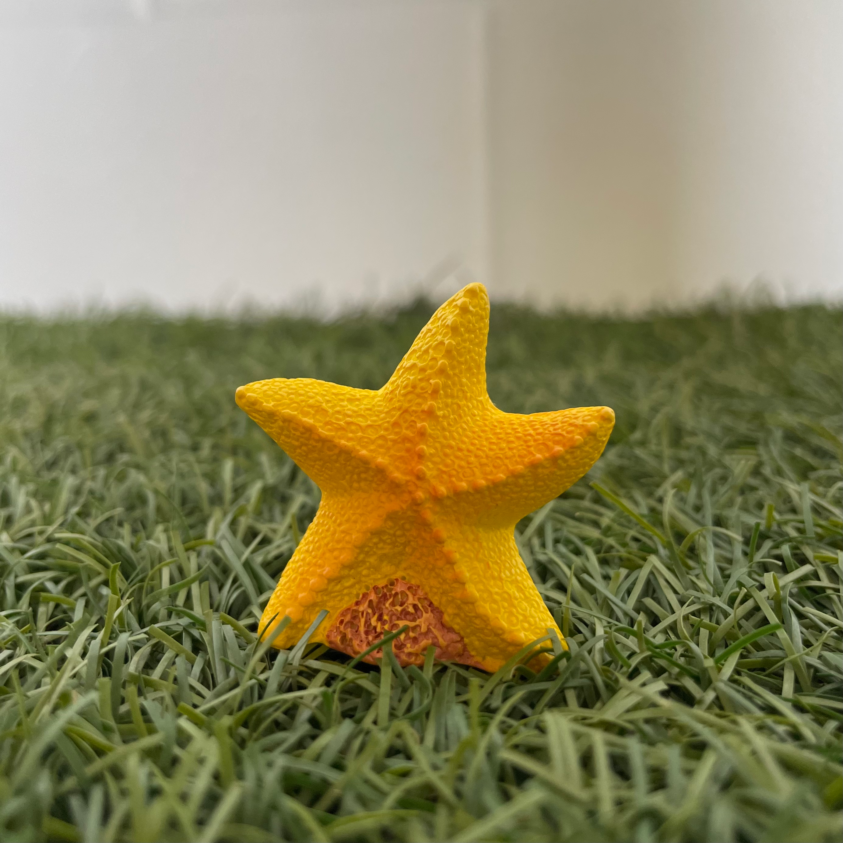 Starfish miniature 113 image 0