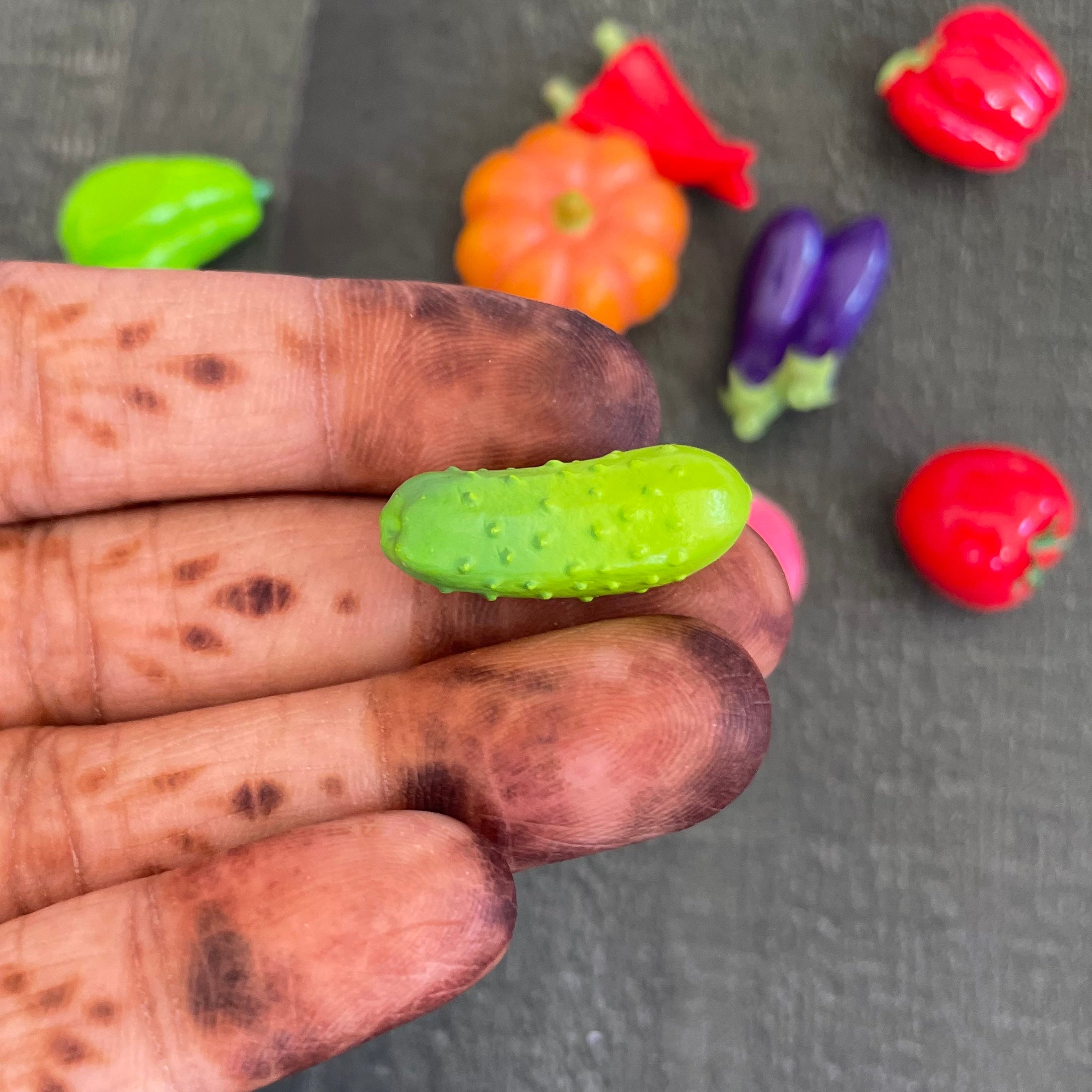 Cucumber Miniature 249 image 1