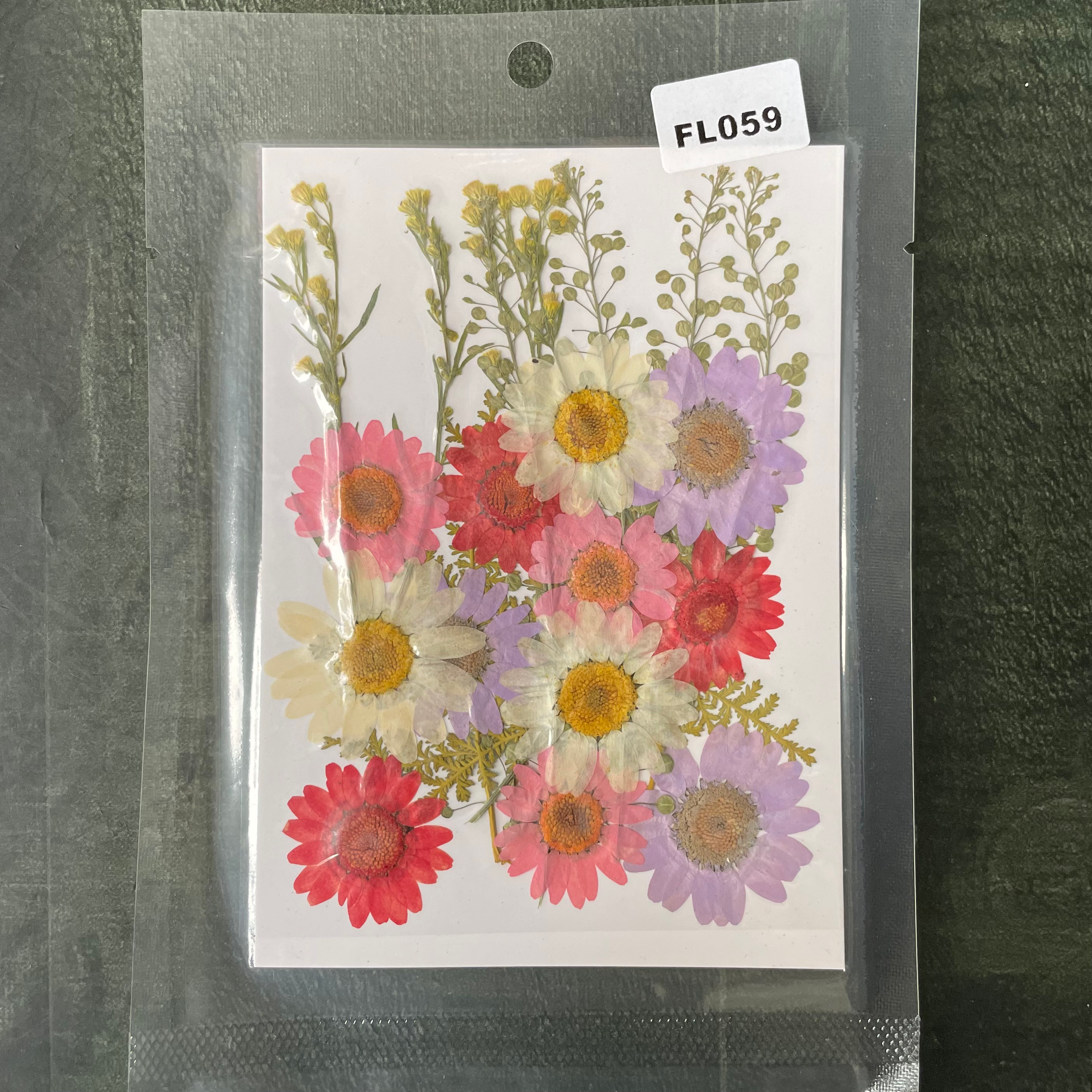 23 in 1 Pressed Dry Flowers 16 image 0