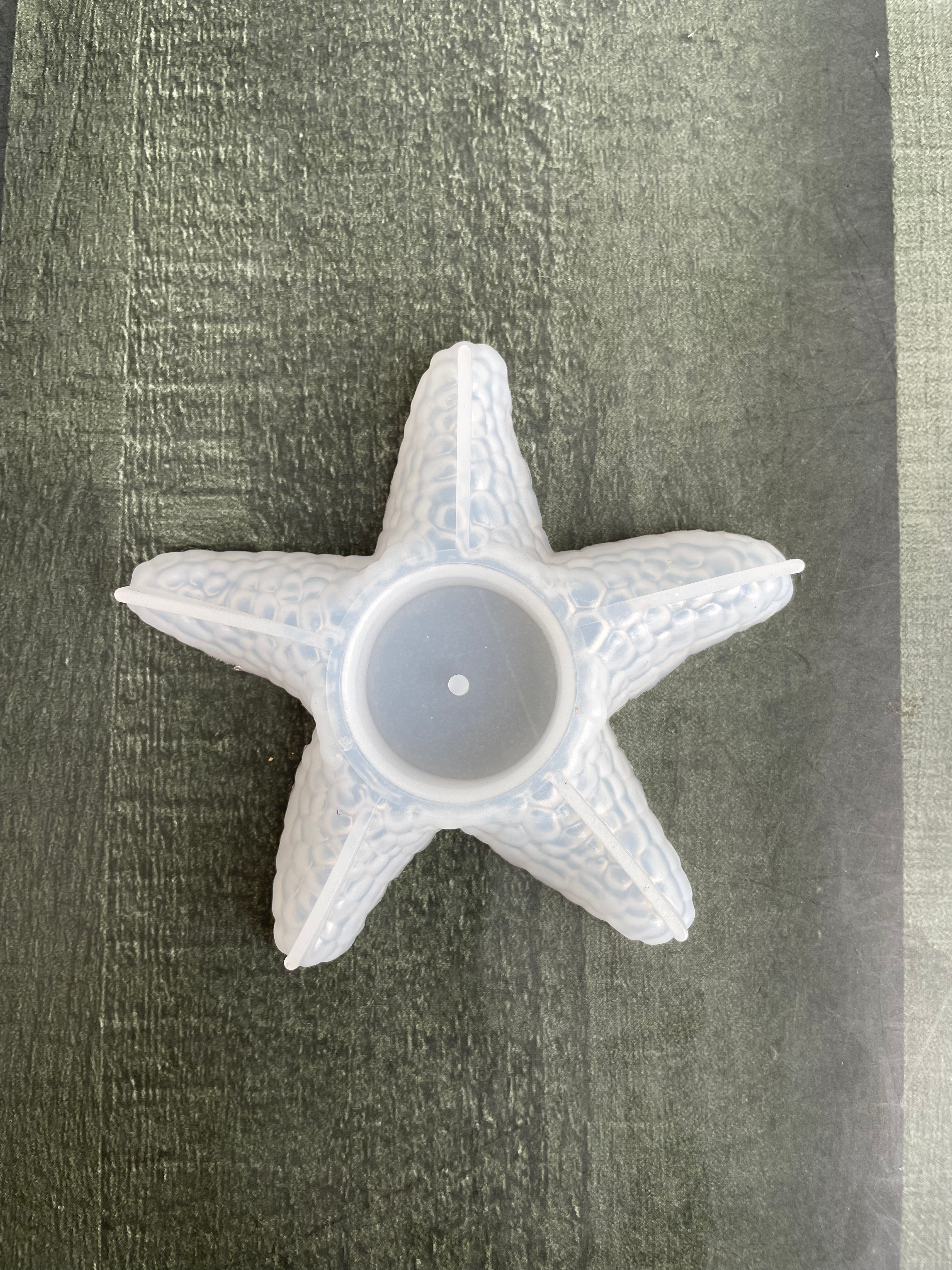 Sea Star T-Holder Mould image 0