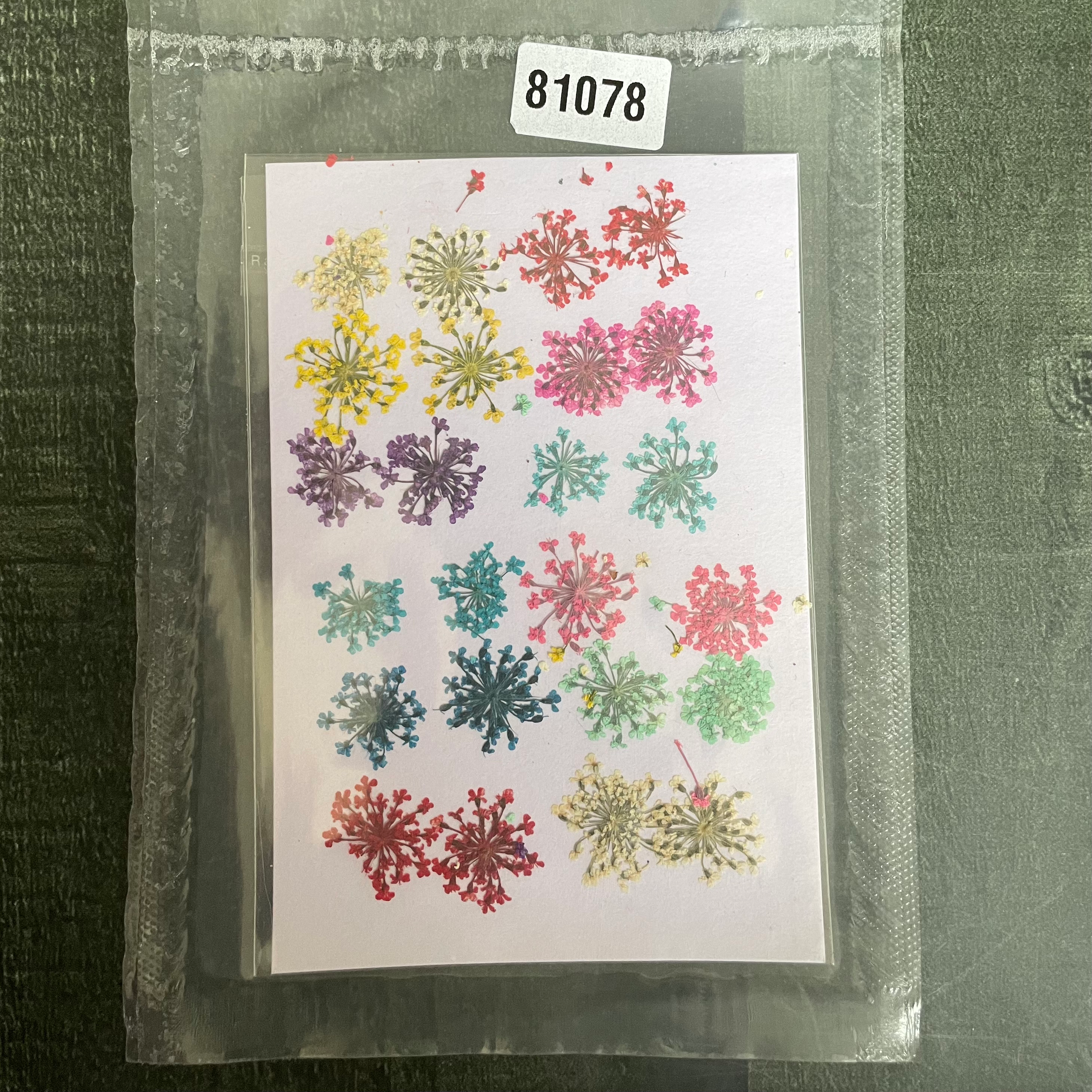 24 in 1 mixed pressed dry flower 10 image 0