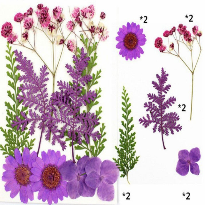10 in 1 Pressed Dry Flowers 11 image 1