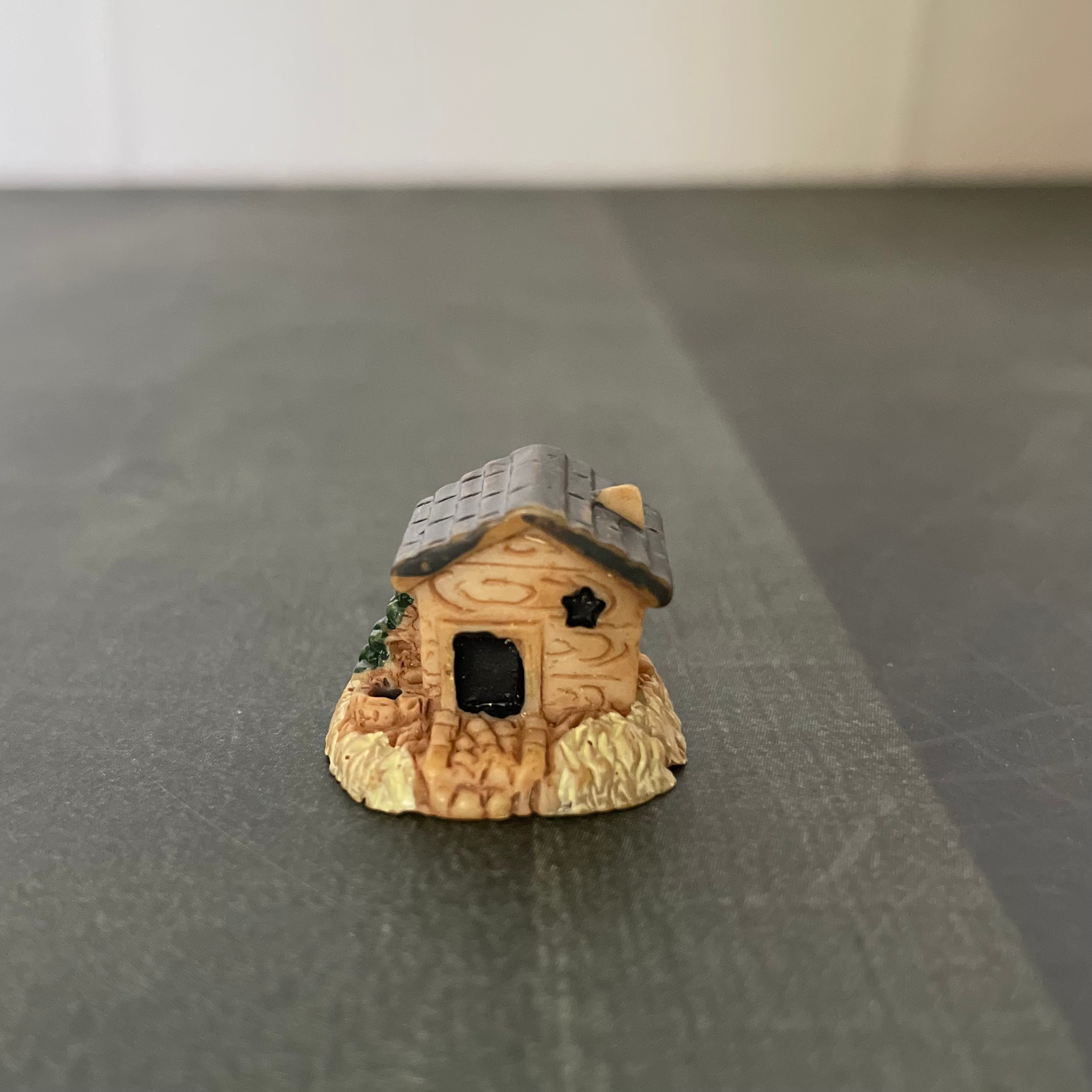 Hut C Miniature 155 image 0