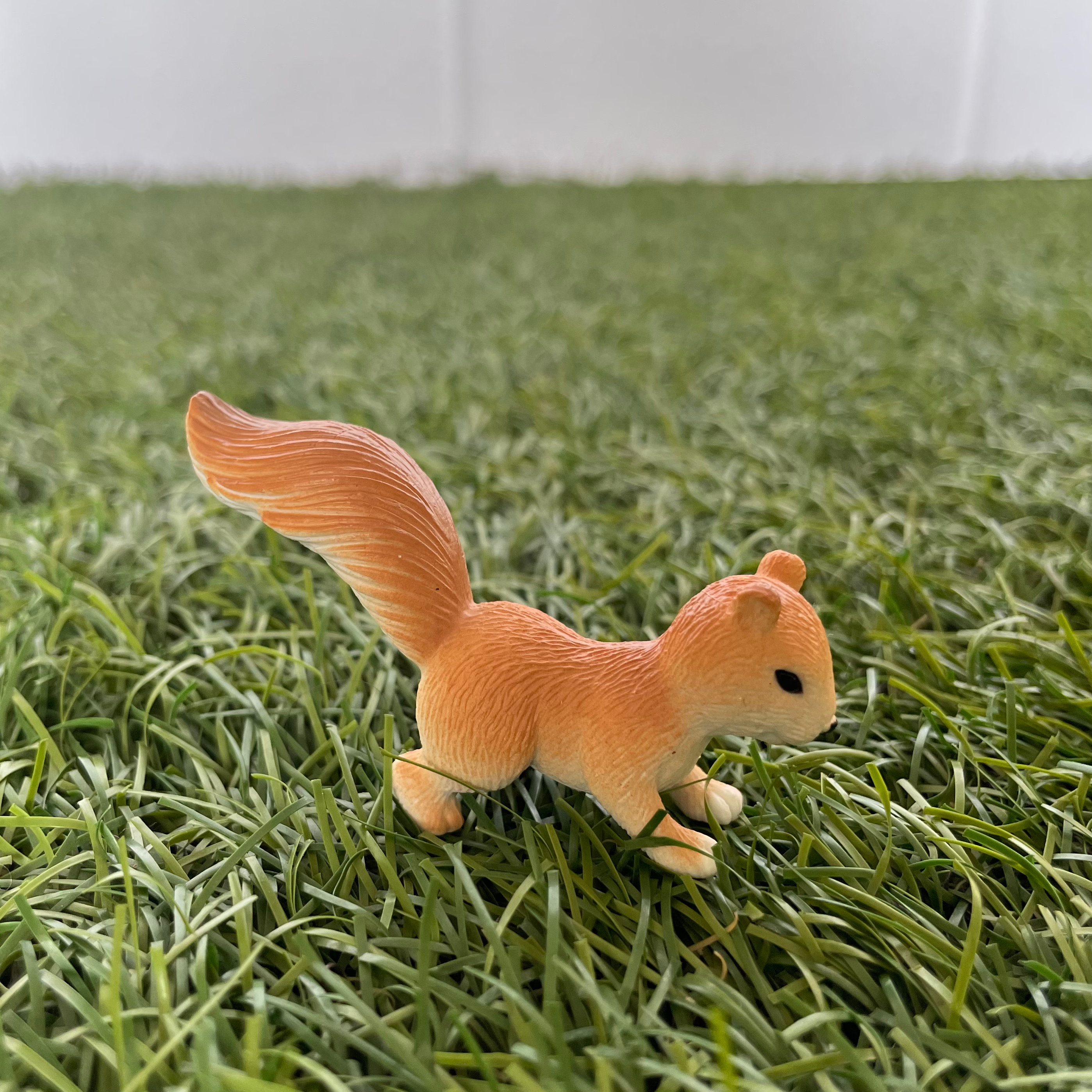 Squirrel D Miniature 199 image 0