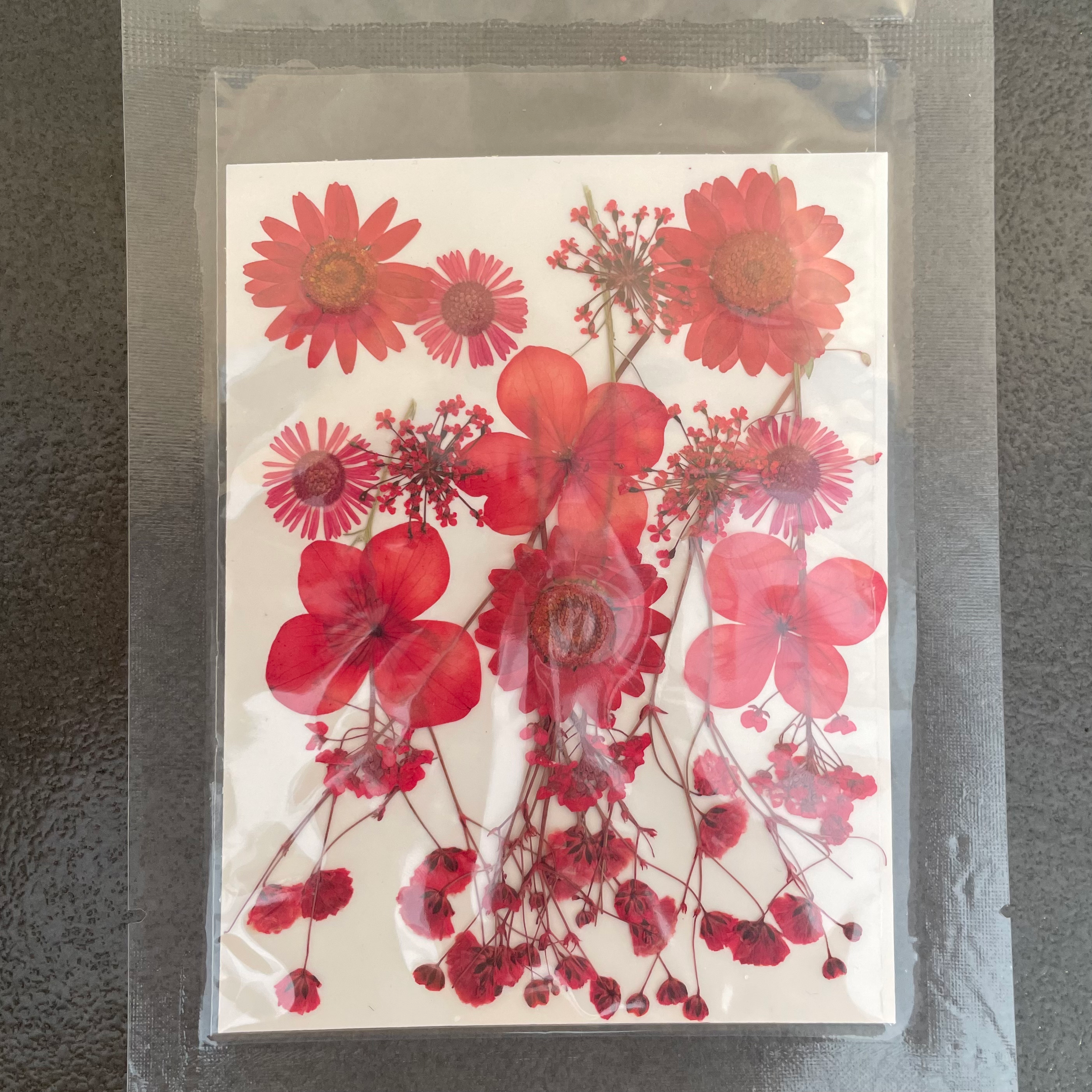 16 in 1 dry pressed flower 1 image 0