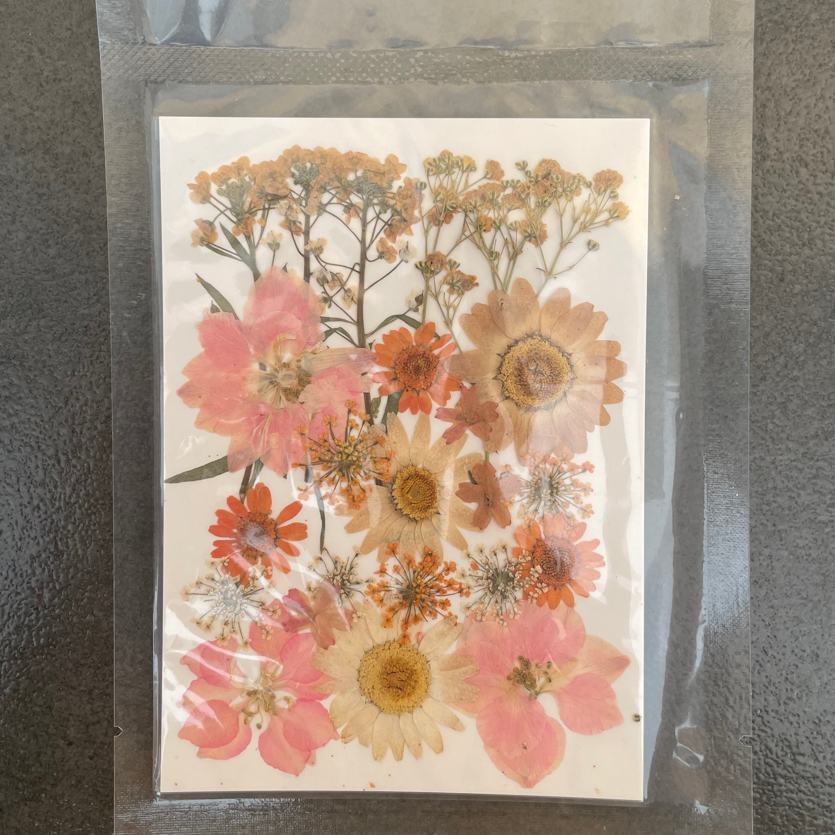 24 in 1 dry pressed flower 3 image 0