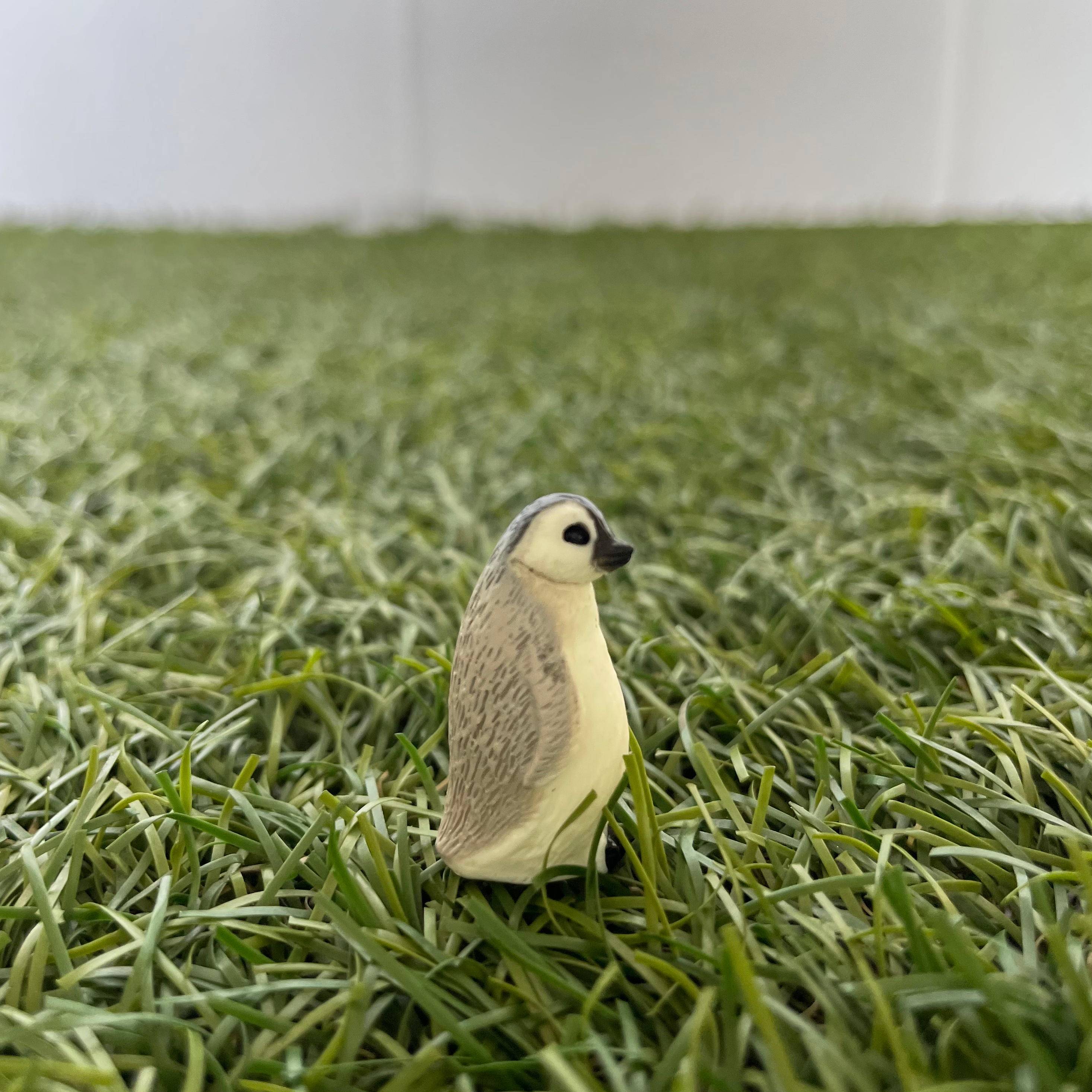 Little Penguin B Miniature 220 image 0