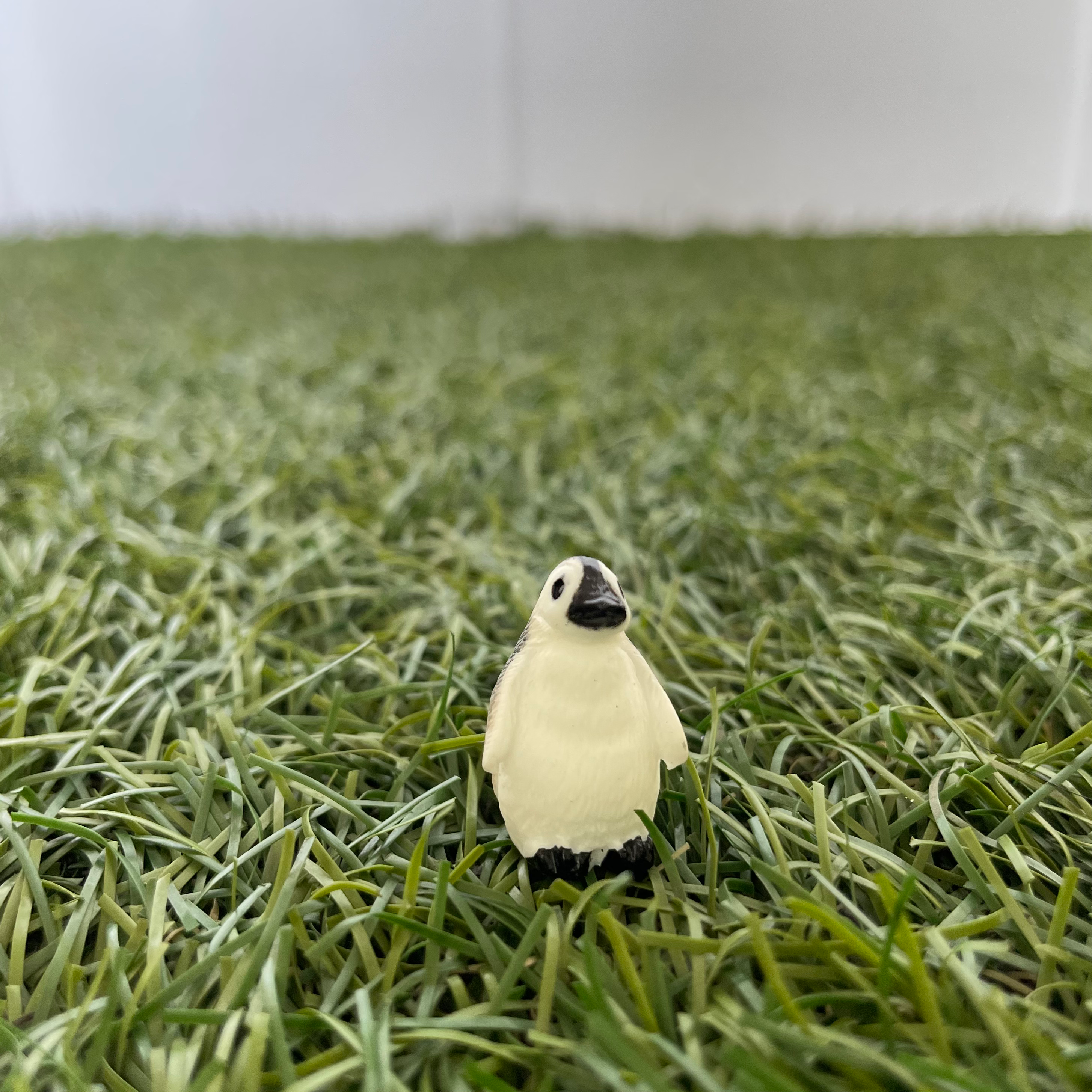 Little Penguin C Miniature 221 image 0