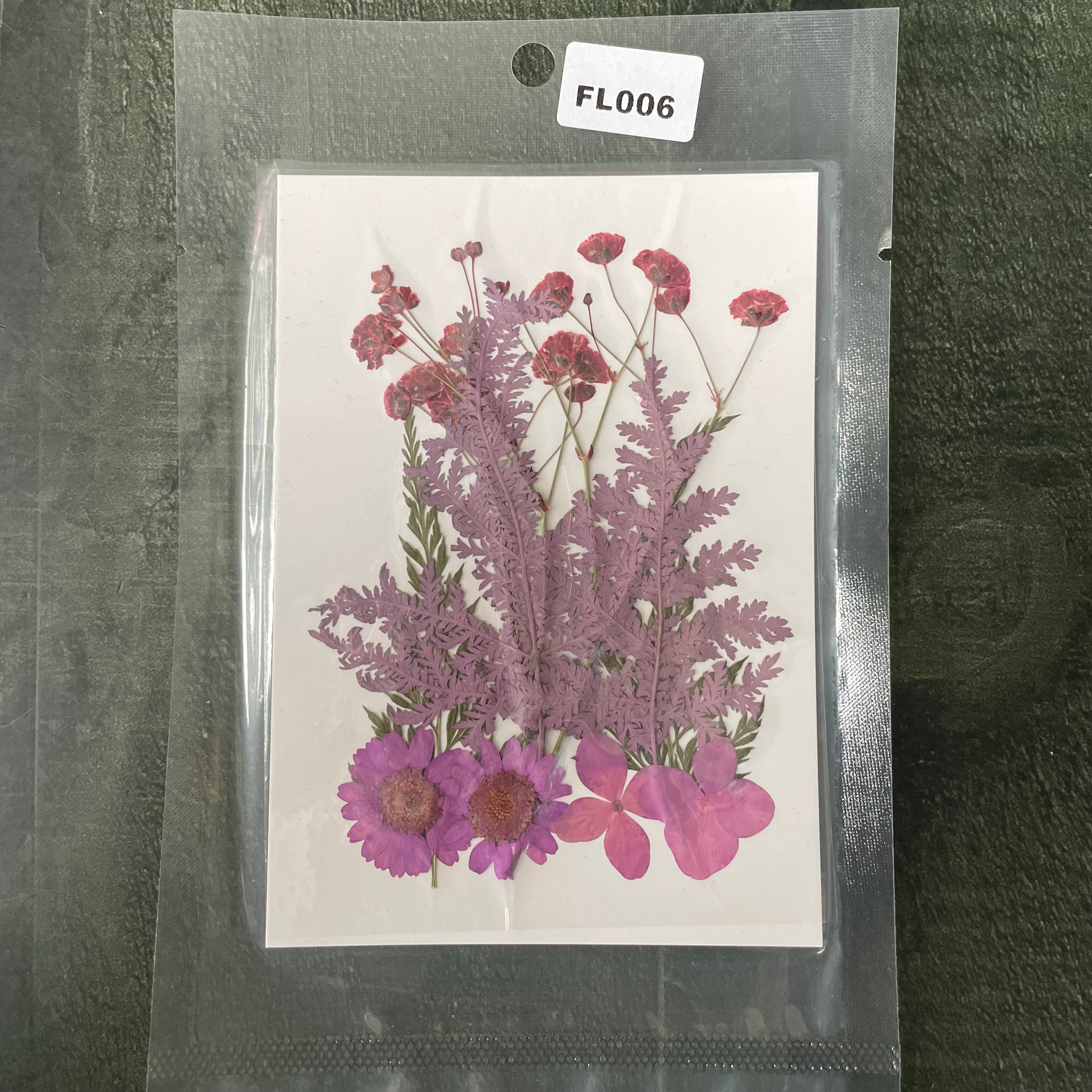 10 in 1 Pressed Dry Flowers 11 image 0