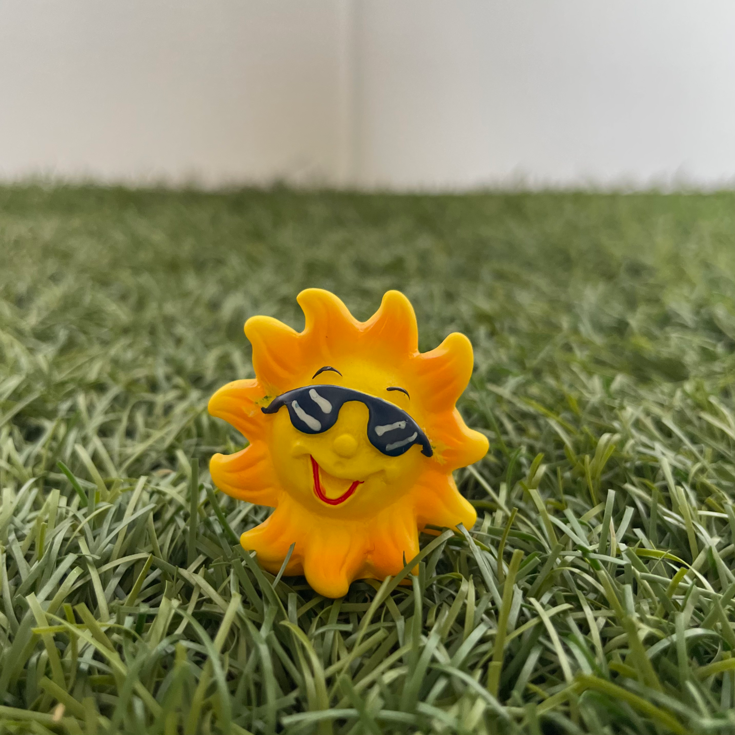 Sun Miniature 116 image 0