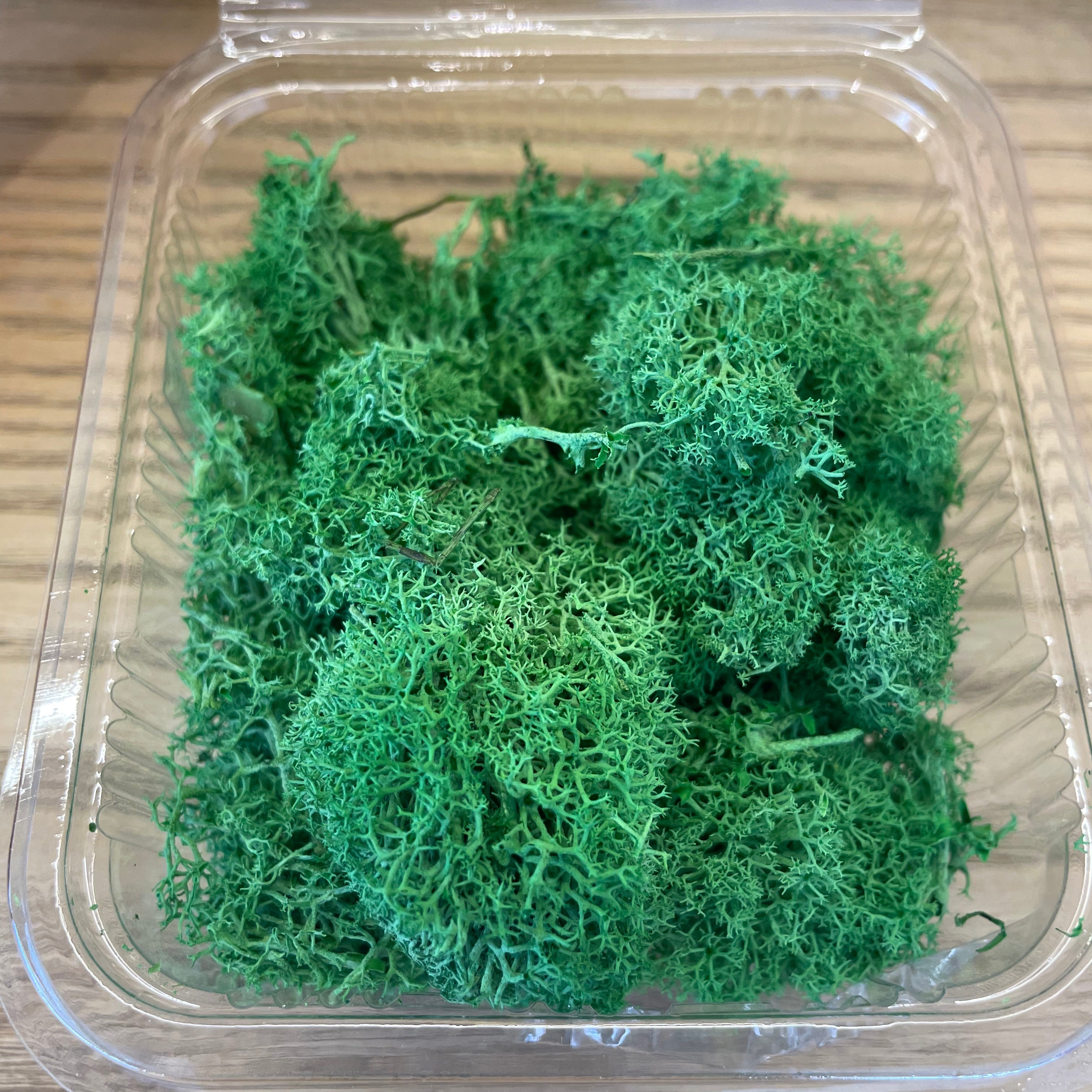 Green Dry Moss image 0