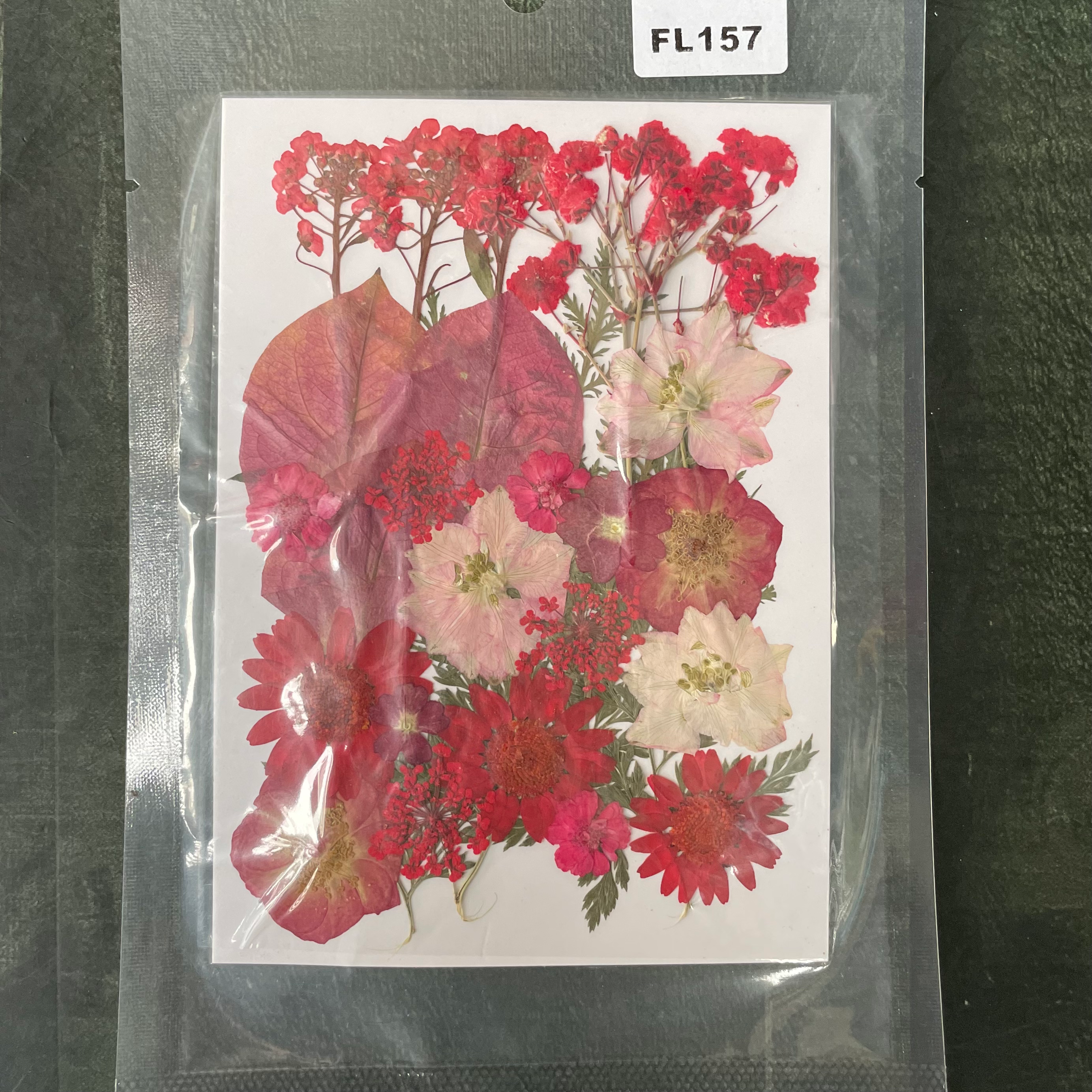 32 in 1 Pressed Dry Flowers 20 image 0