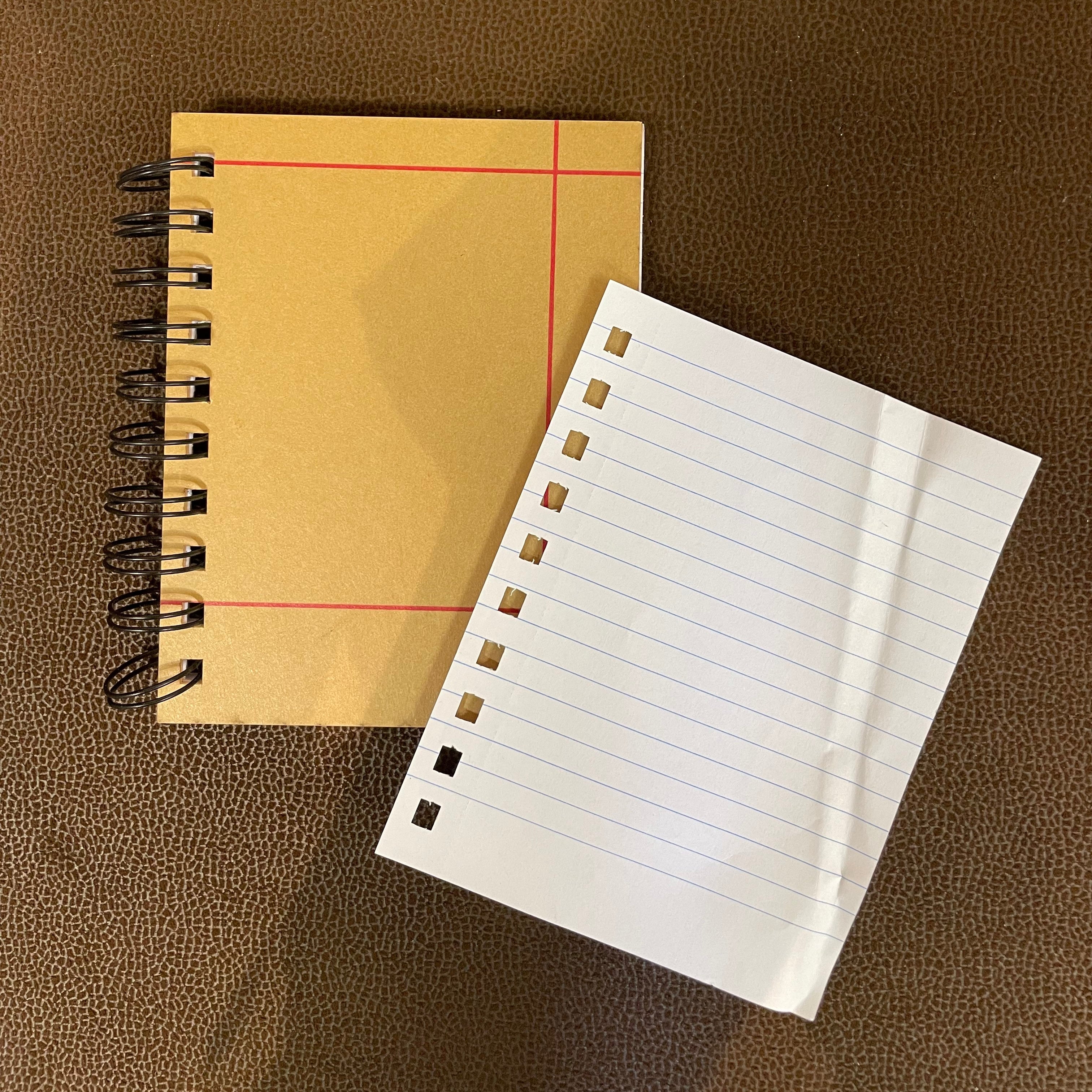 Diary acrylic cutout with pages A7 image 0