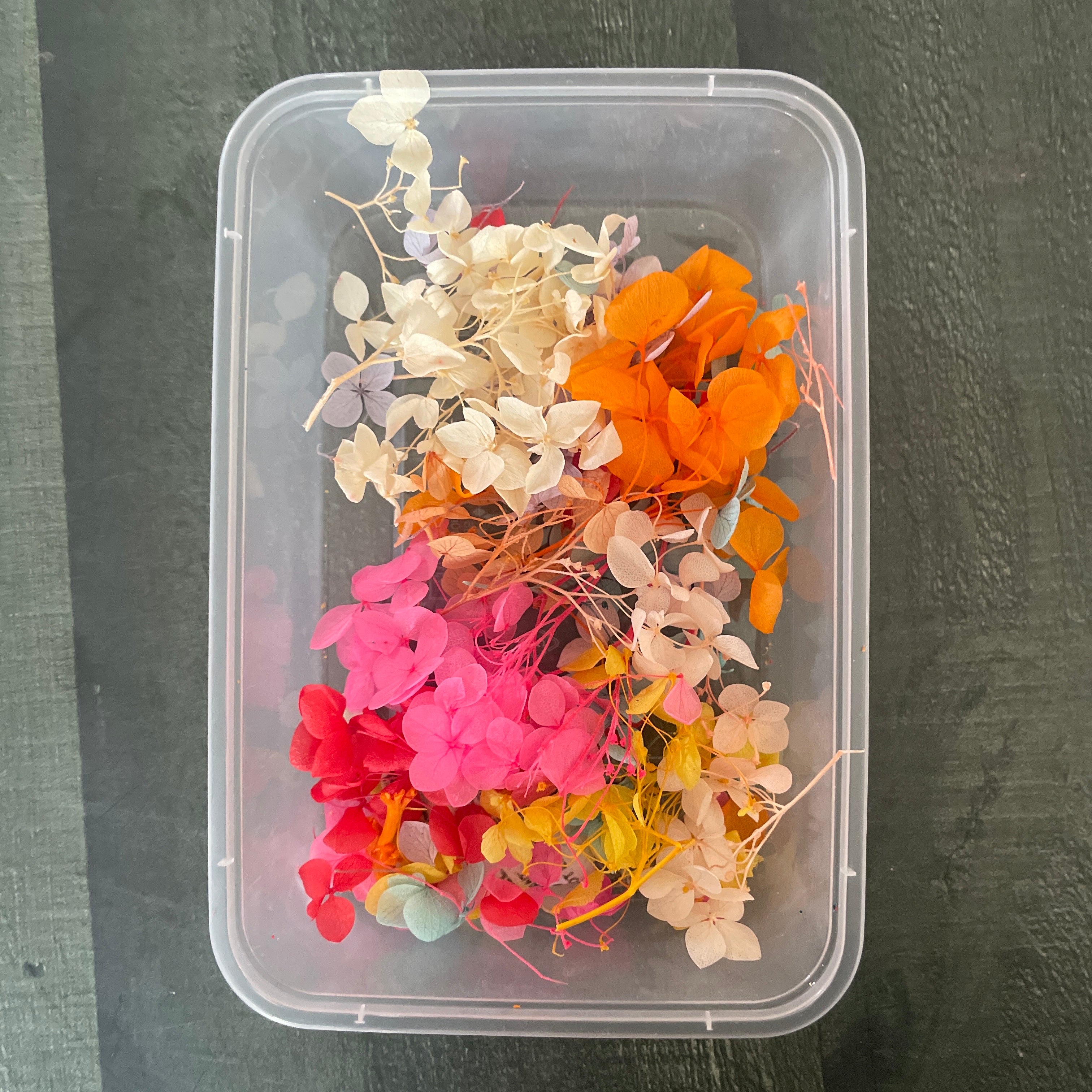 Hydrangea Dry Flower Box - Multy Colour image 0