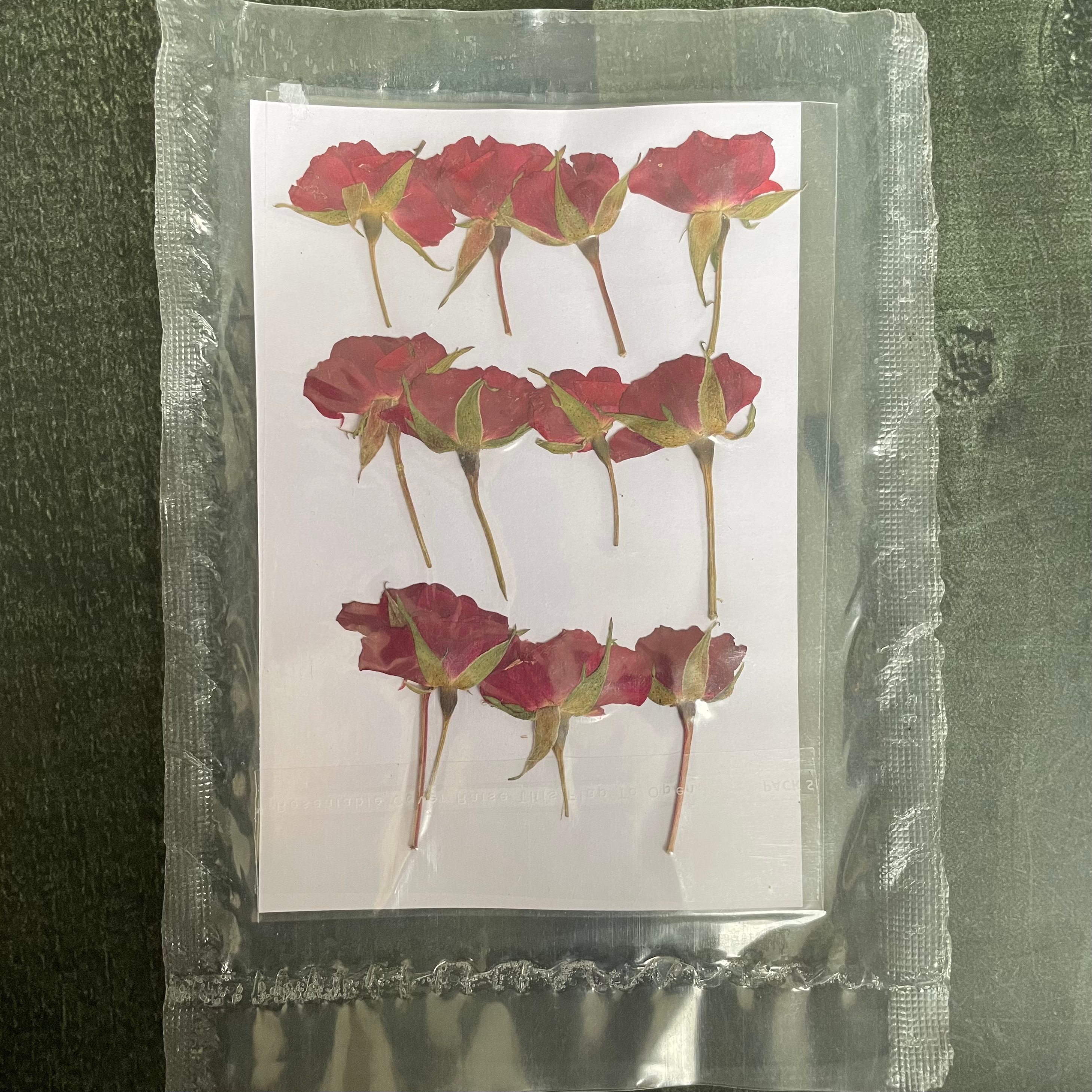 12 in 1 dry red rose flower 8 image 0