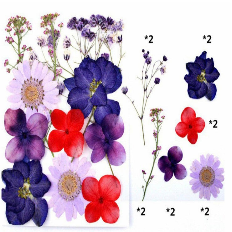 12 in 1 Pressed Dry Flowers 13 image 1