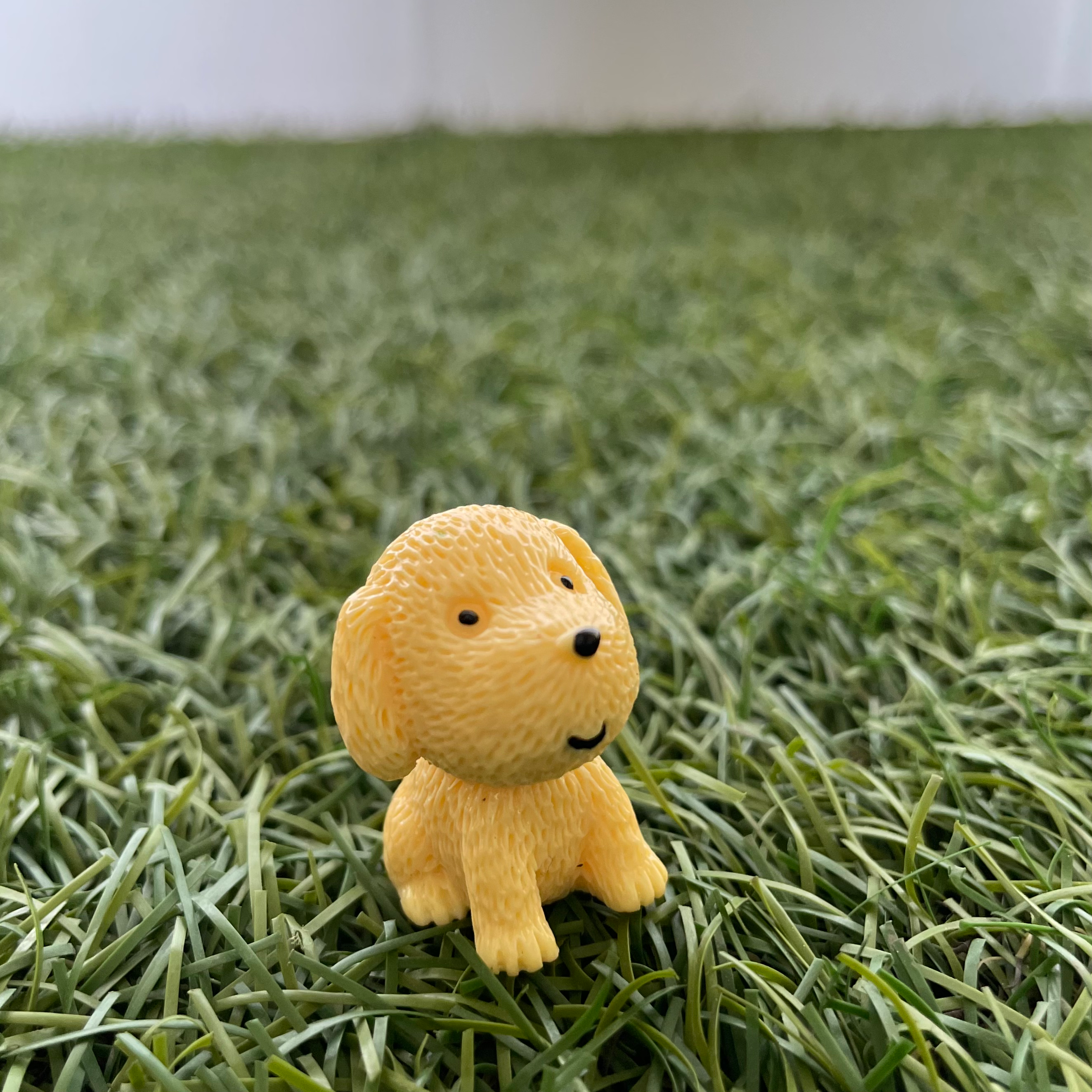 Dog G Miniature 188 image 0