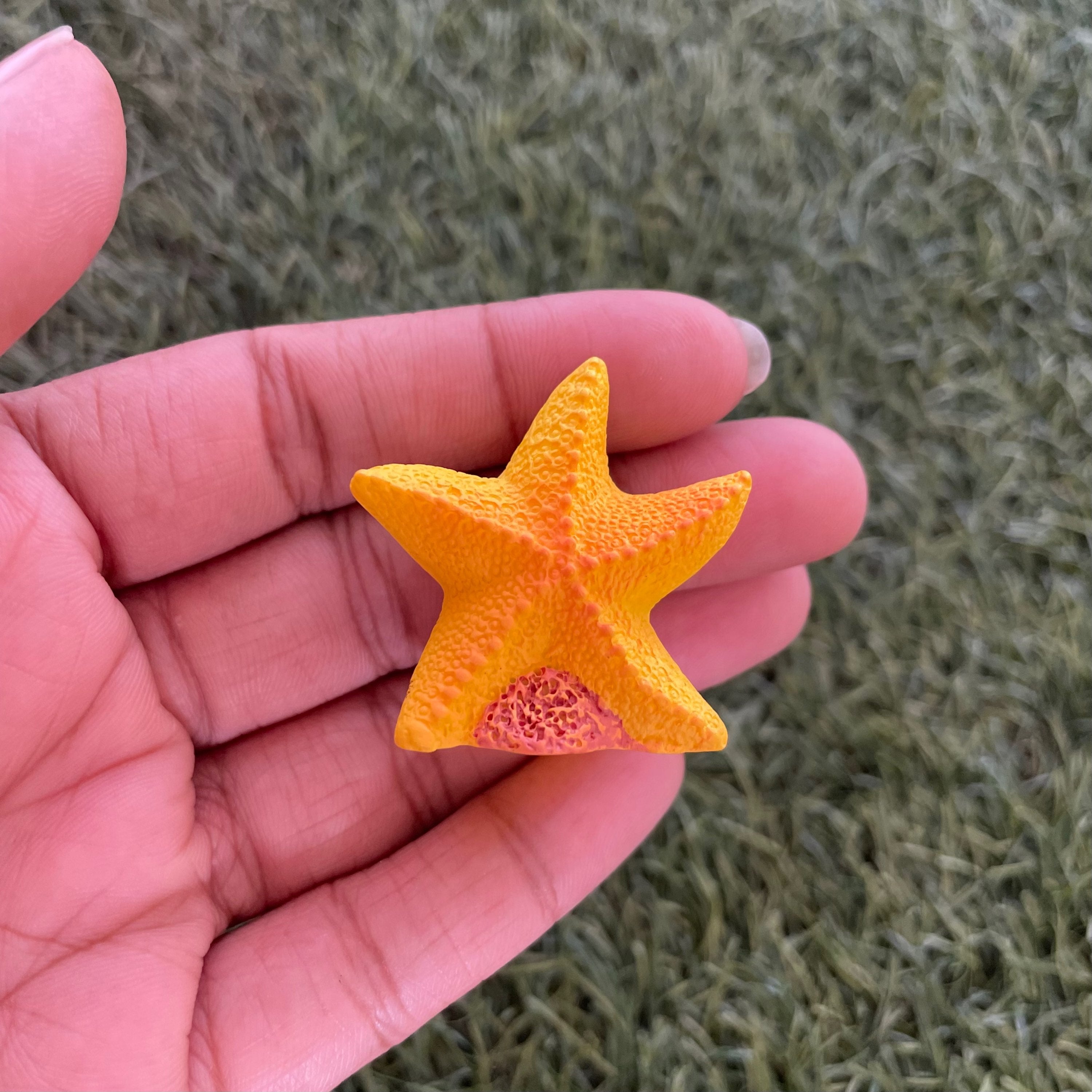 Starfish miniature 113 image 1