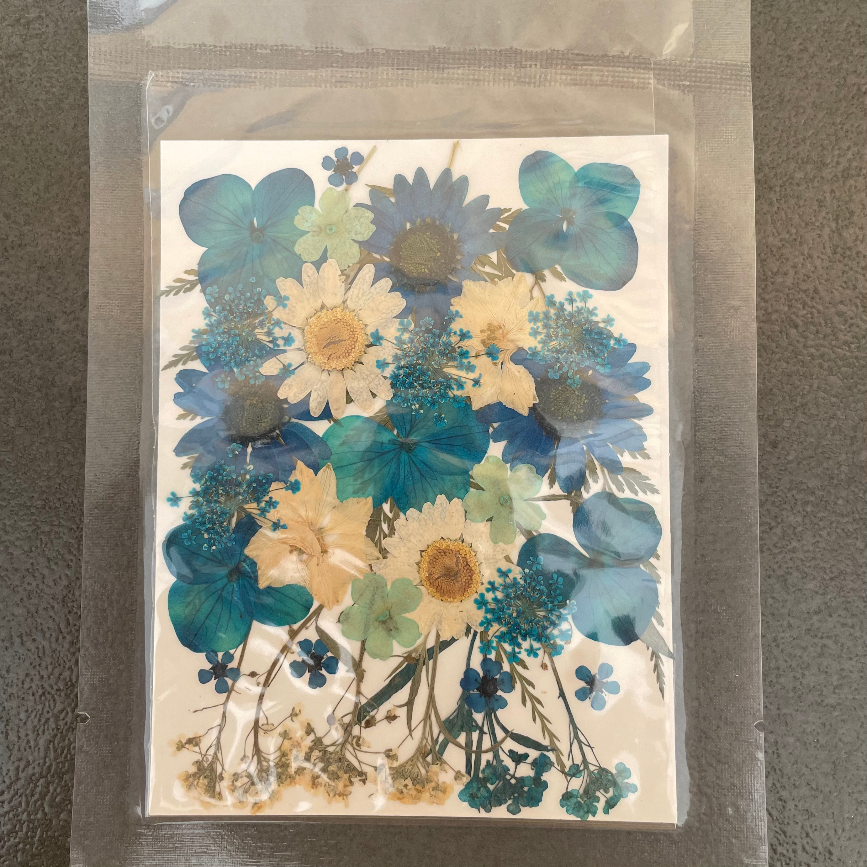 30 in 1 dry pressed flower 4 image 0