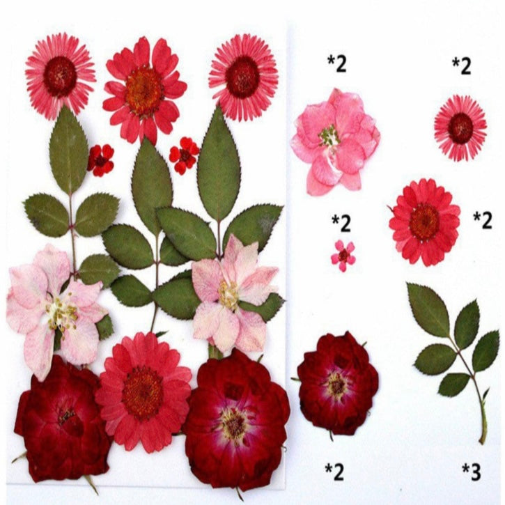13 in 1 Pressed Dry Flowers 15 image 1