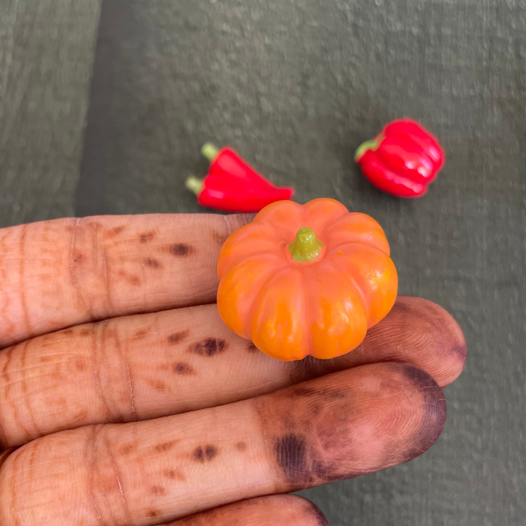 Pumpkin Miniature 256 image 1