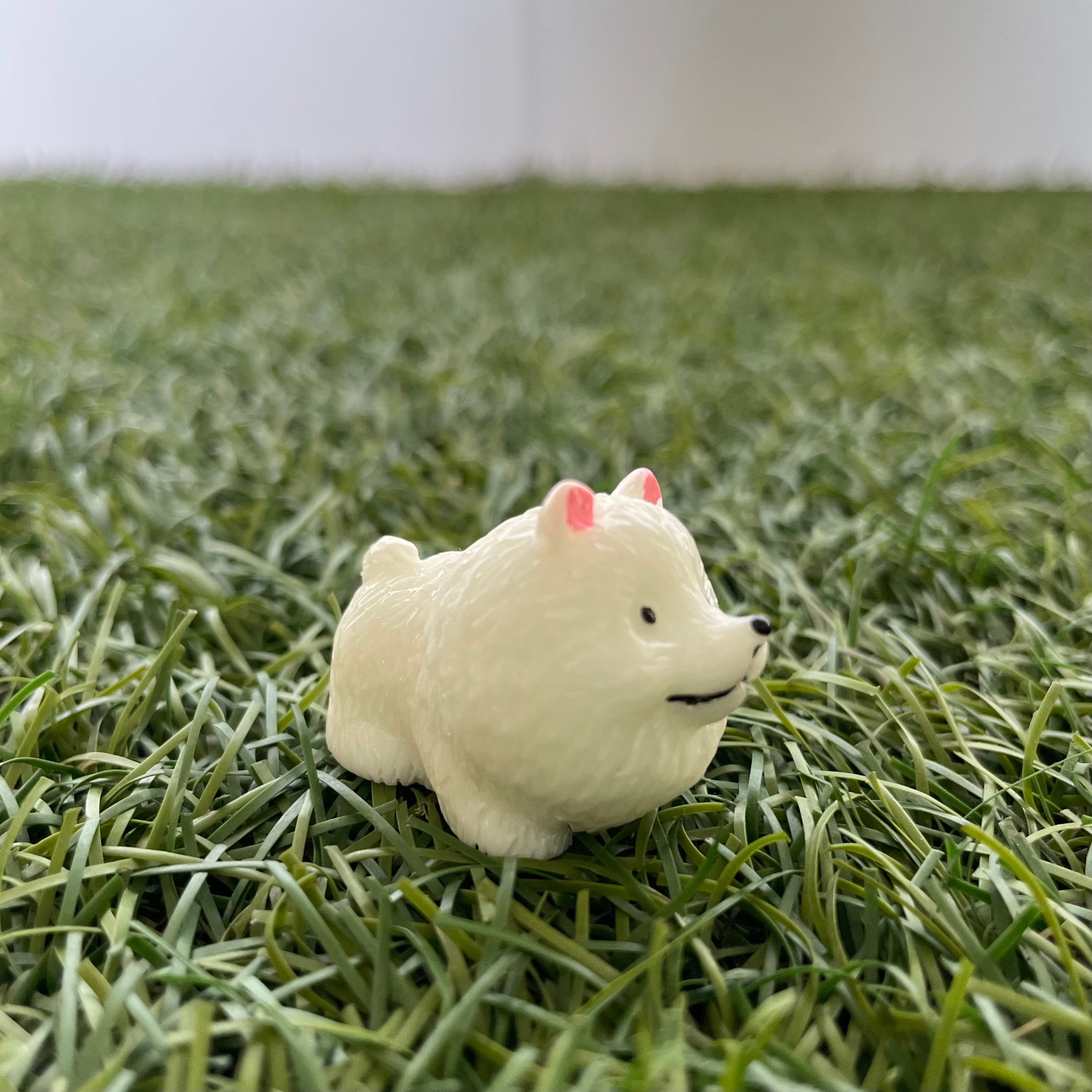 Dog A Miniature 182 image 0