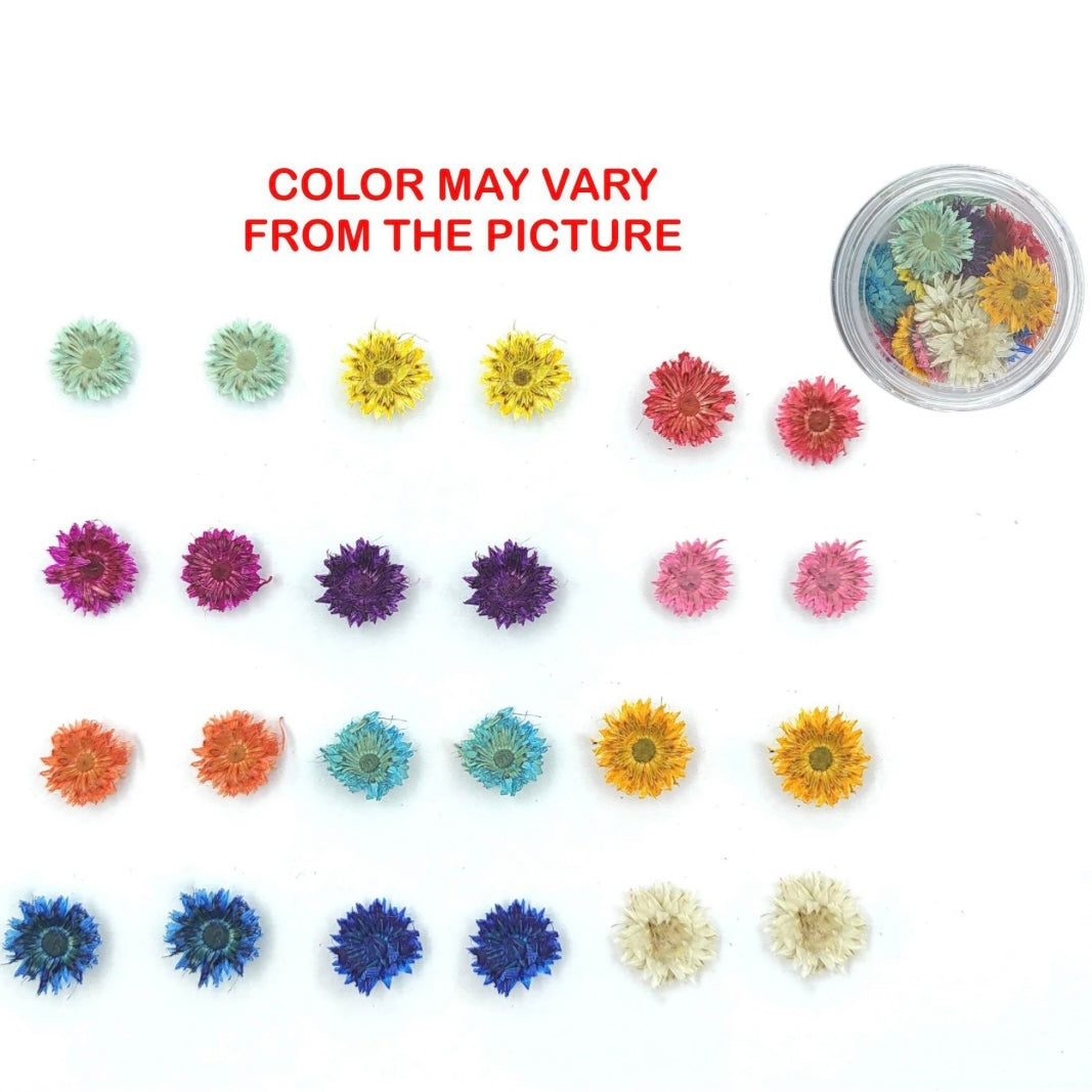 Mini mix dried sun flower 24 pieces image 1