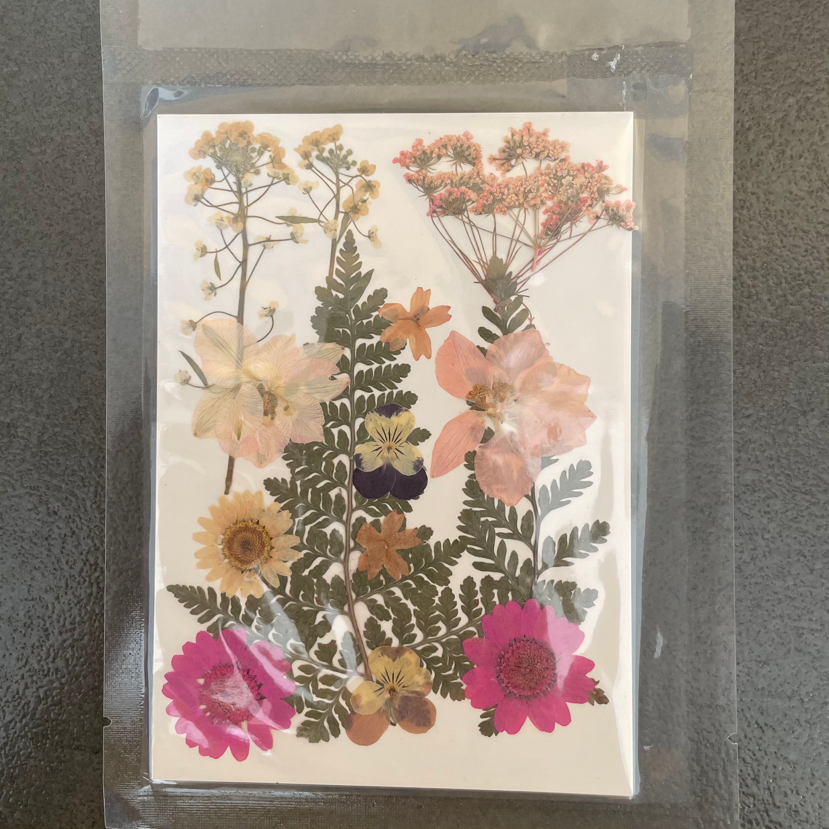 16 in 1 dry pressed flower 2 image 0