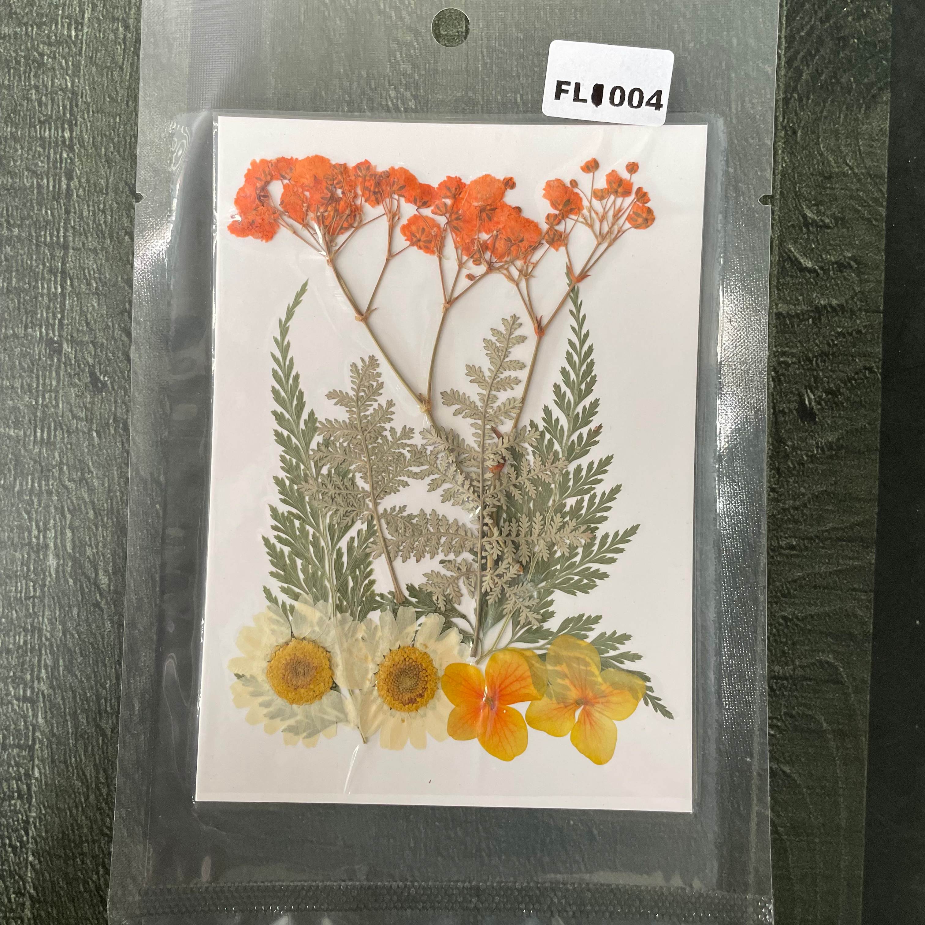 10 in 1 Pressed Dry Flowers 12 image 0