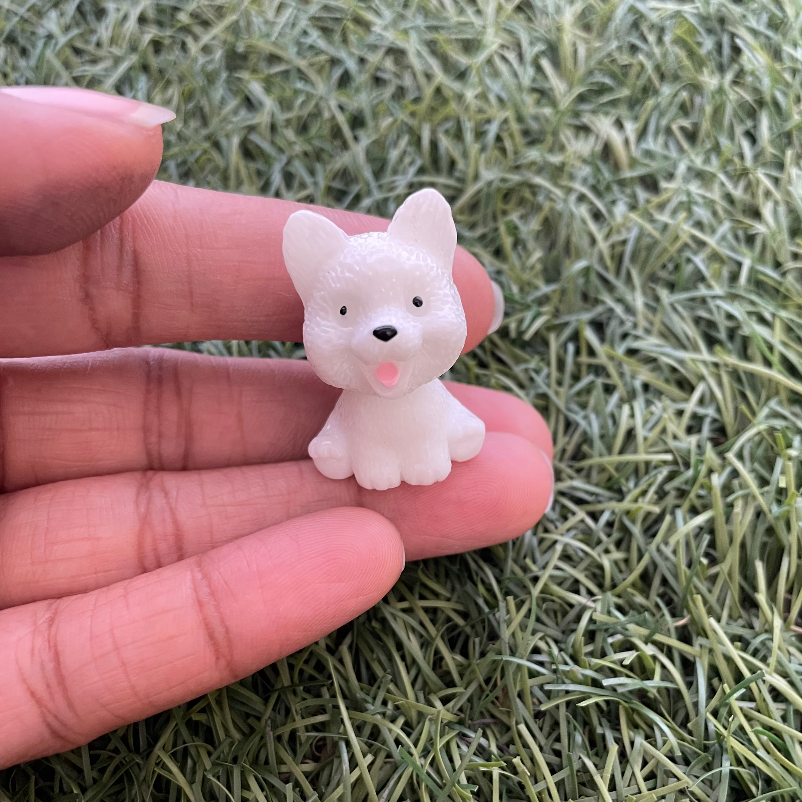 Dog C Miniature 184 image 1