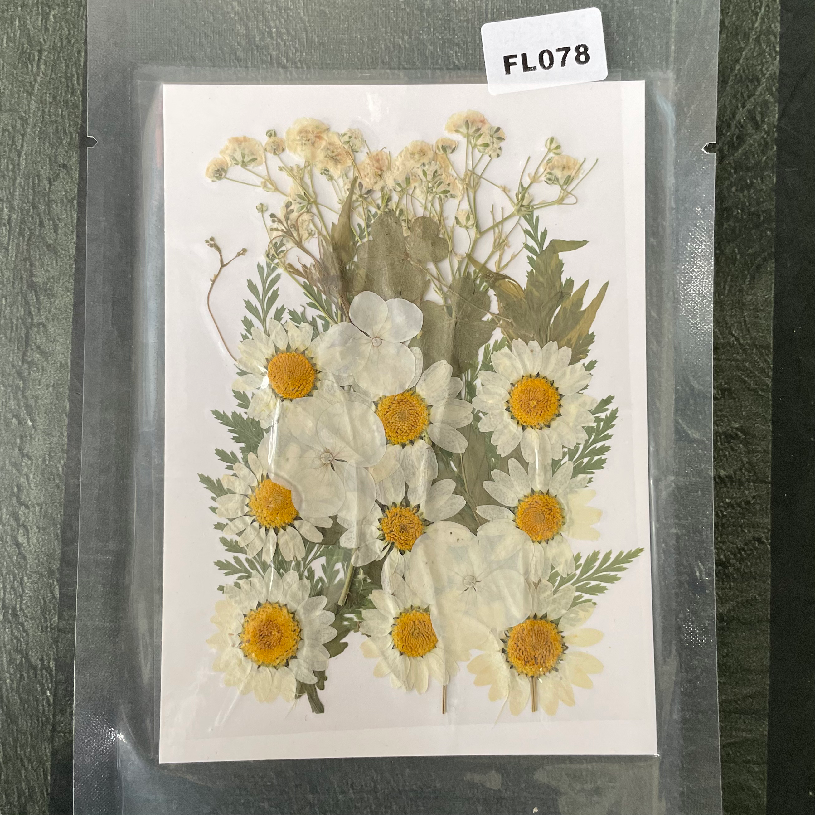 25 in 1 Pressed Dry Flowers 17 image 0