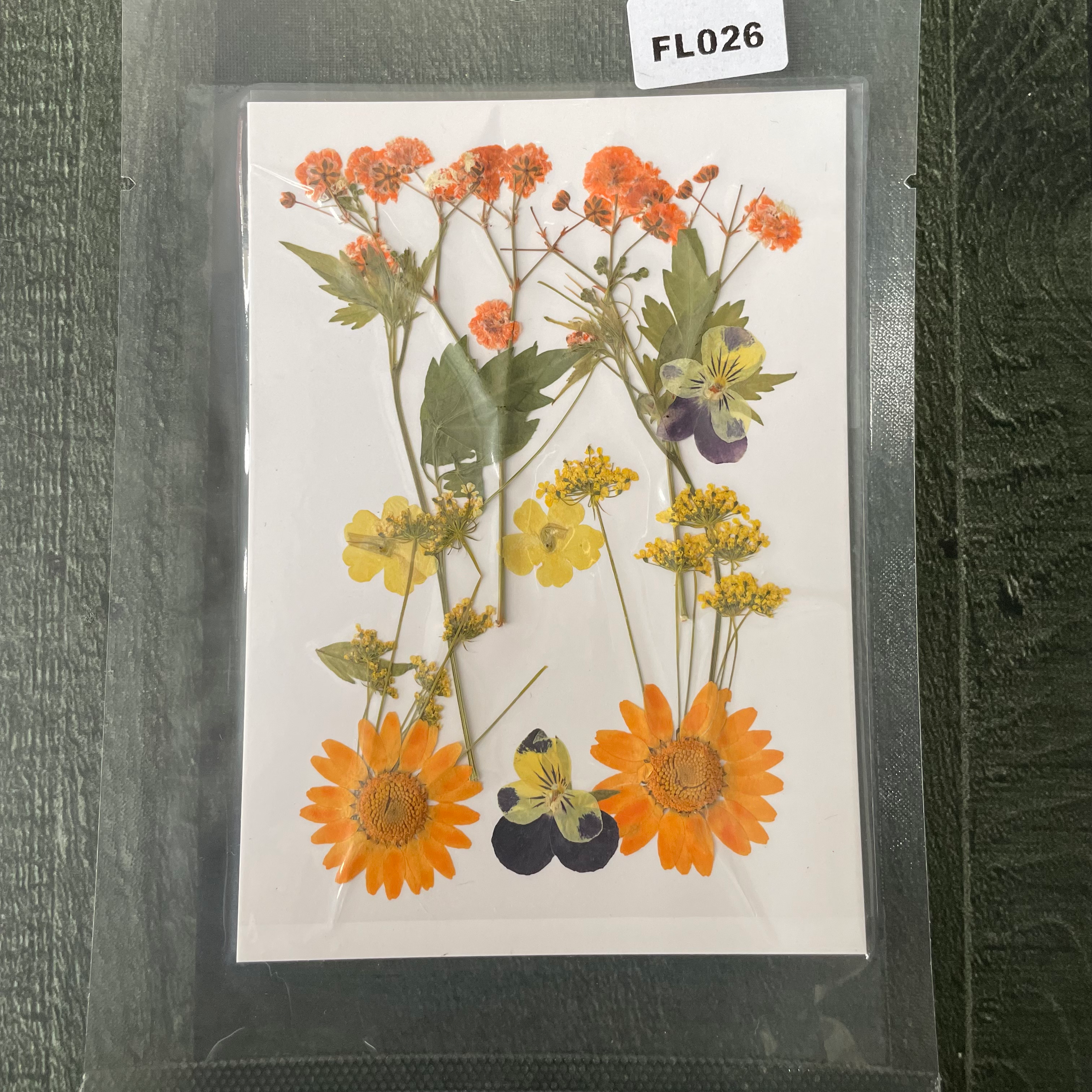 12 in 1 Pressed Dry Flowers 14 image 0